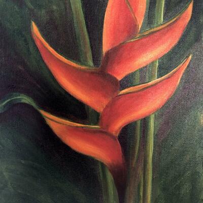 Red Heliconia 
