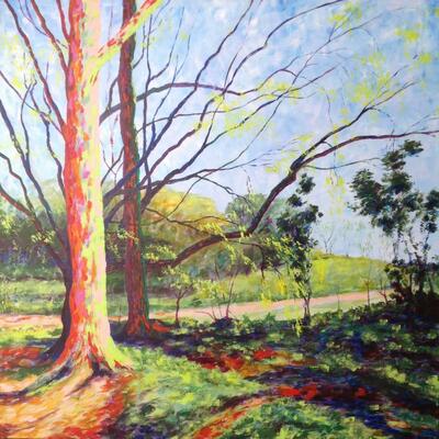 Beech Trees in Spring. U/F Acrylic on deep canvas 70 x 70