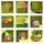 9 small squares with green and bright pink abstract images