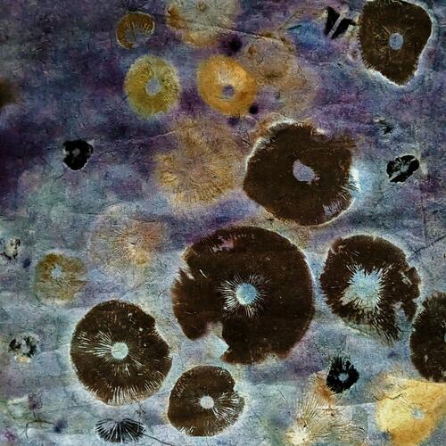 A mixed media piece with a mottled purple background and dark brown and yellow mushroom spore prints
