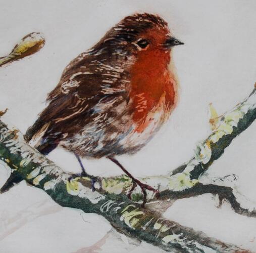 Robin etching by Rahima Kenner