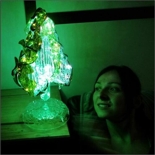 Julia Sotkiewicz - With recycled lamp