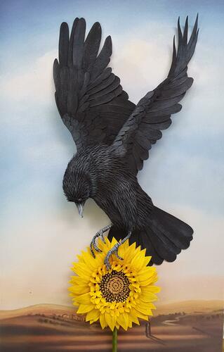 Crow and sunflower