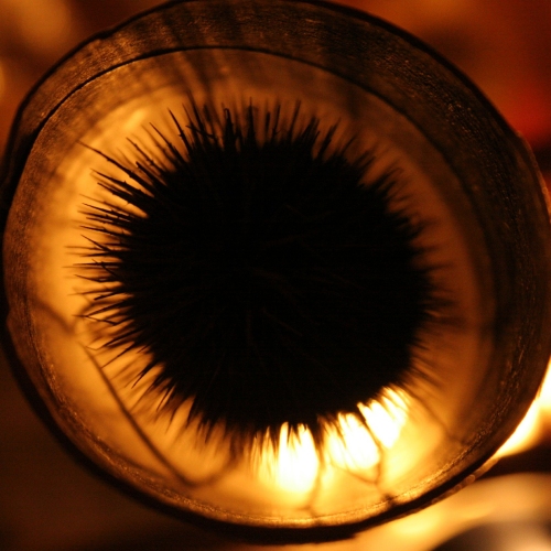andrew_martins_the_eye