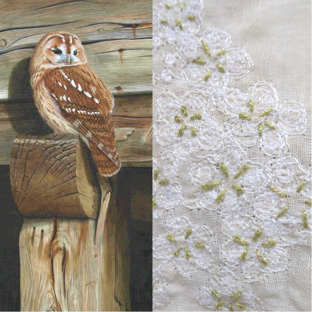 Tawny Owl and Hawthorn Blossom