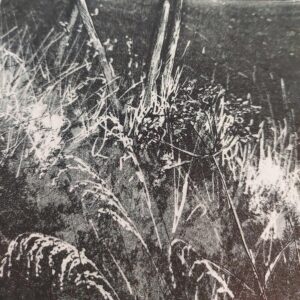Kat Foxhall OPC: Detail of Wind in the Oats showing  dry late summer grasses against a field fence