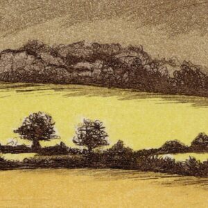 Kat Foxhall OPC: Detail of South from the Ridgeway showing trees silhouetted against the vivid yellow of a late summer harvested field