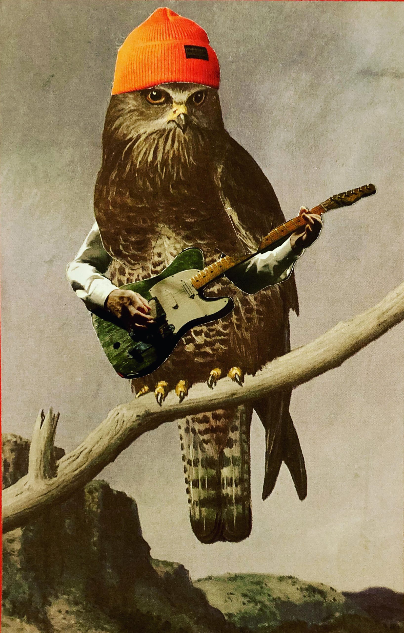 Bry Leighton: Owl Guitar
