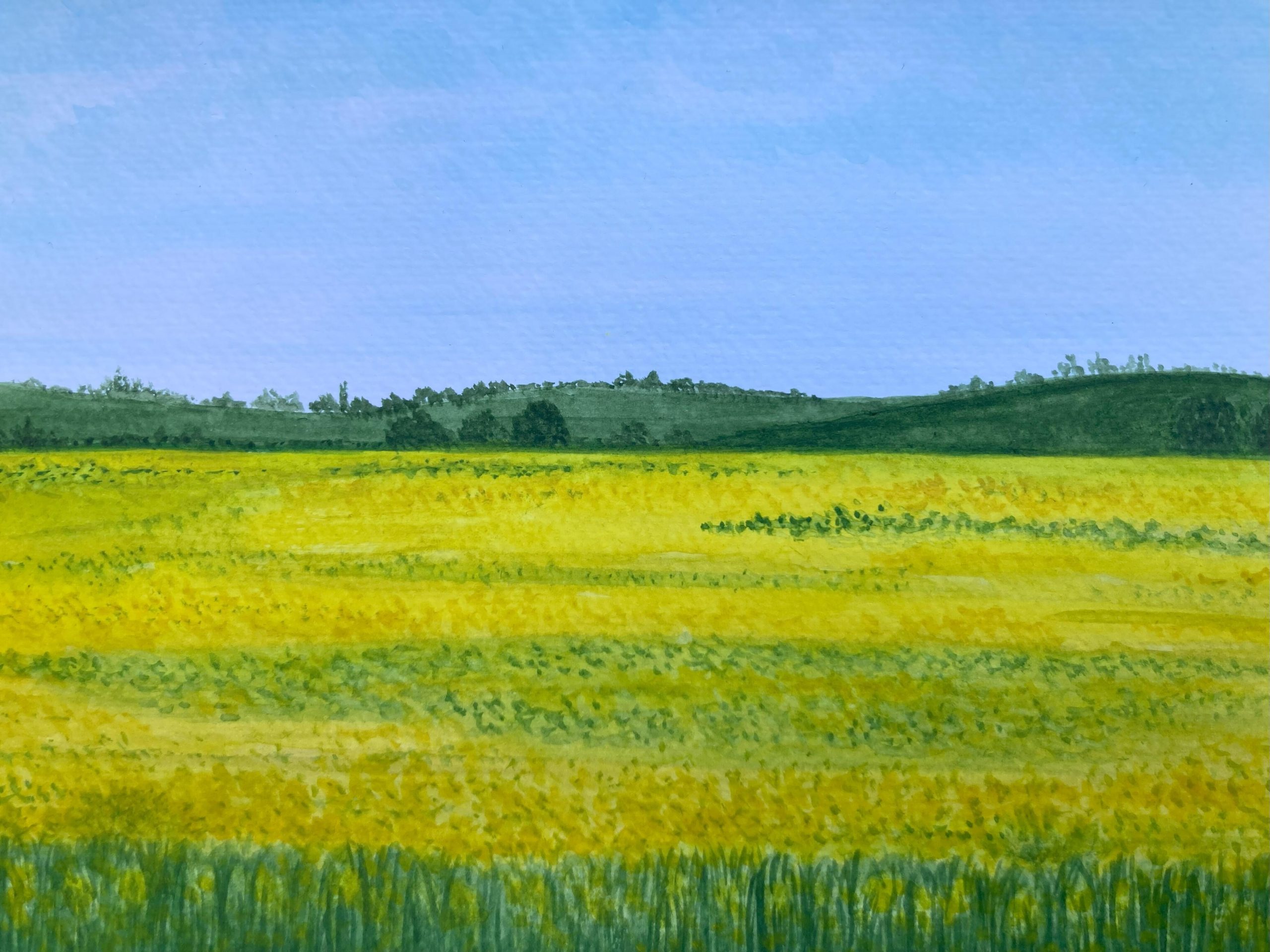 Elena Ruiz: A walk in the rapeseed fields. Watercolour. 29.7 x 21.0cm - 11.7 x 8.3 in. £120 plus P&P (£140 mounted)