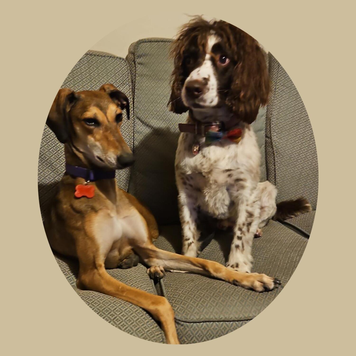 John Stephen OAS at work