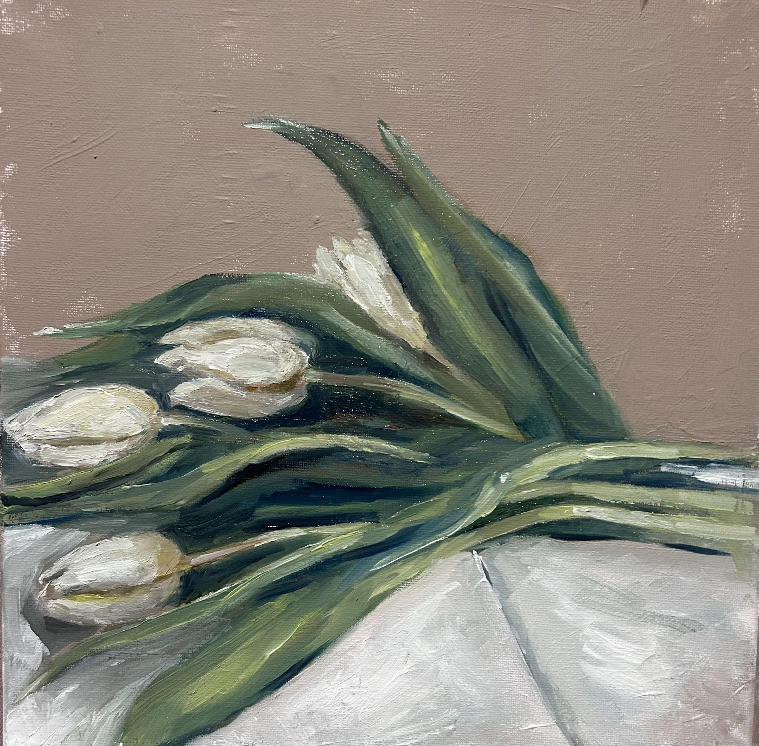 Miranda Markham: White tulips