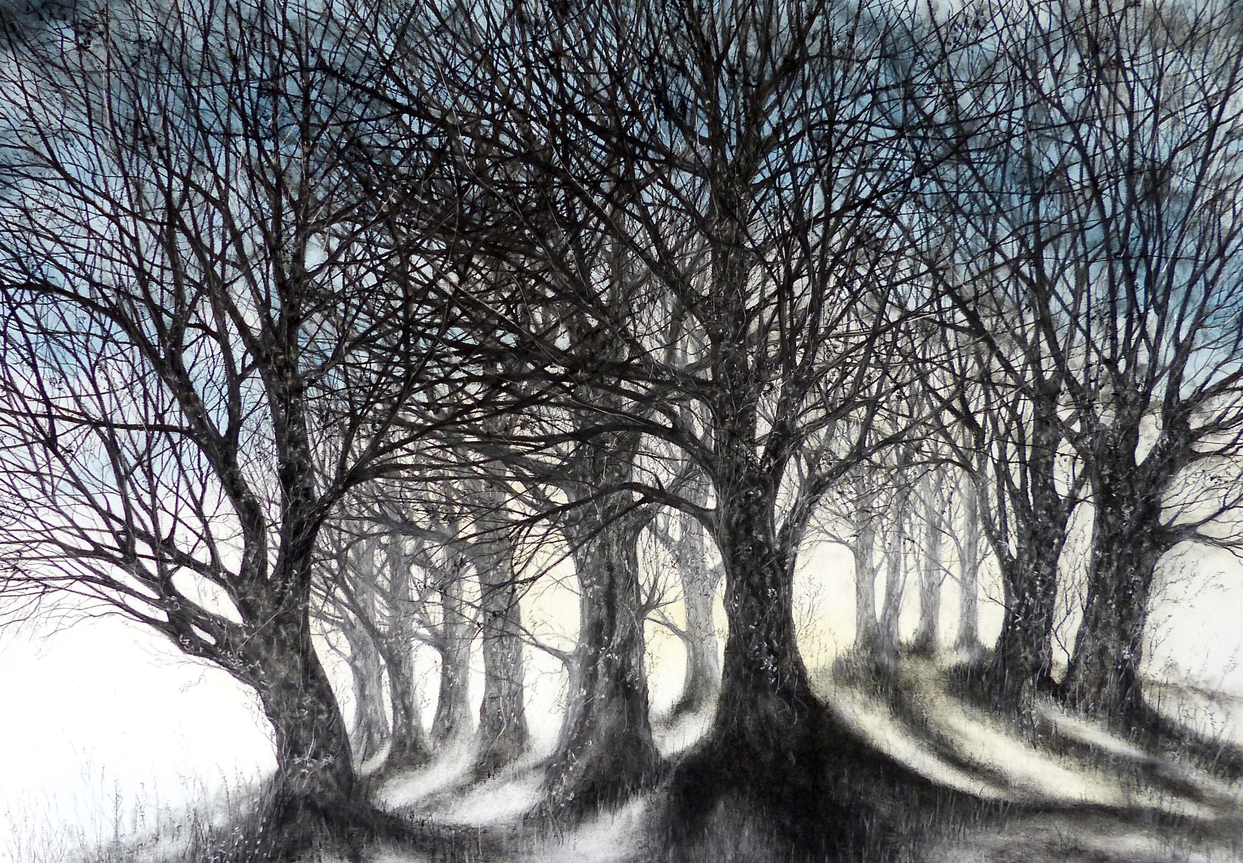 Sue Side OAS: Liminal Space, ink and charcoal