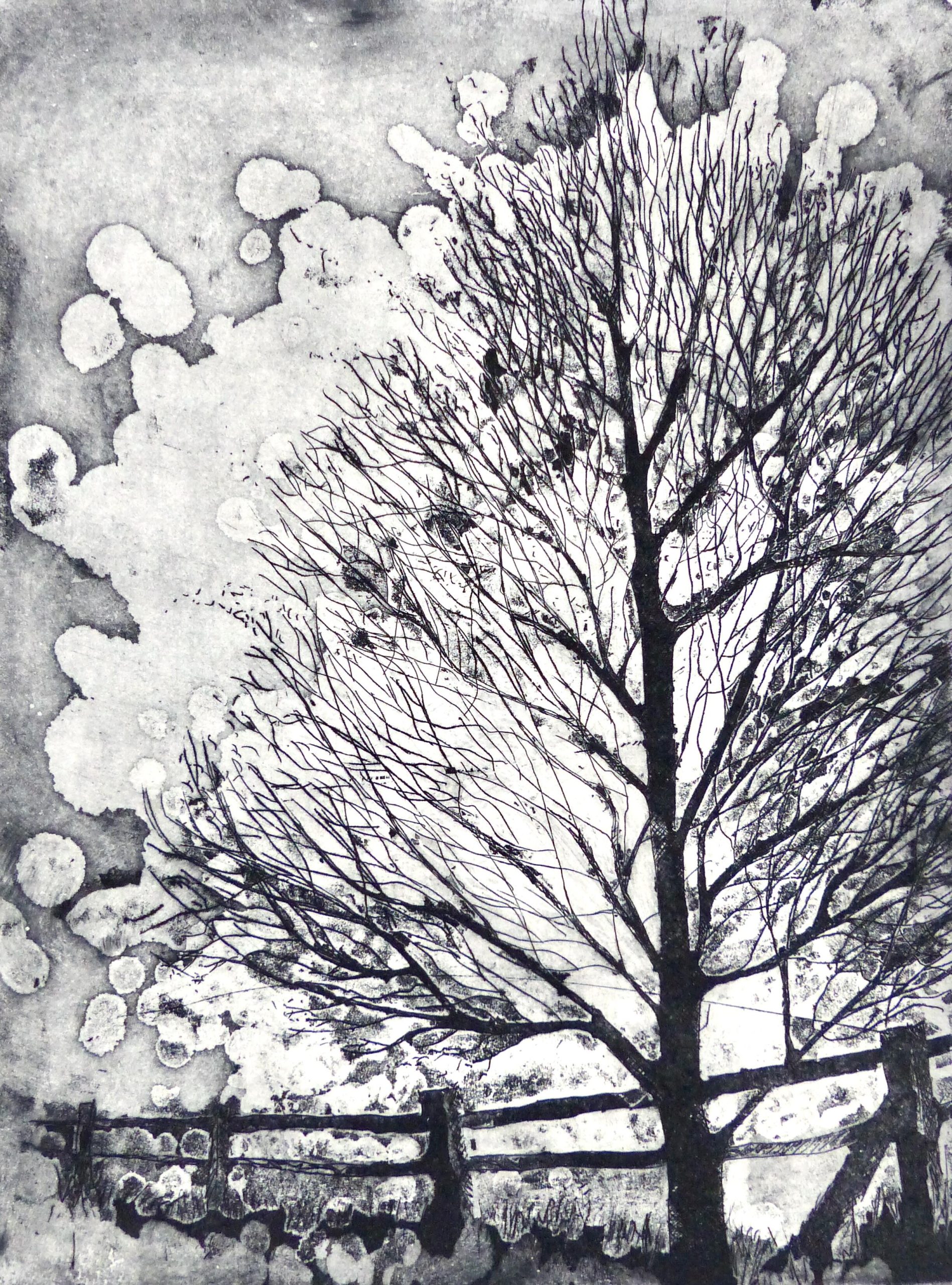 Sue Side OAS: Fenceline, aquatint etching