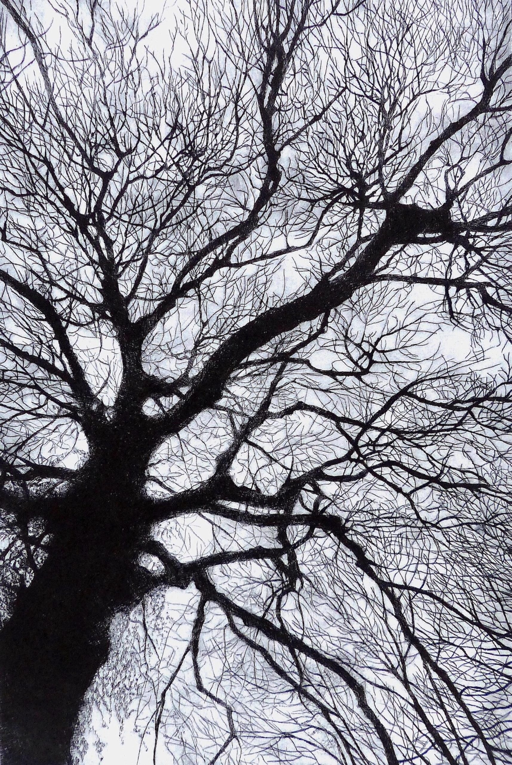 Sue Side OAS: Tracery, drypoint etching