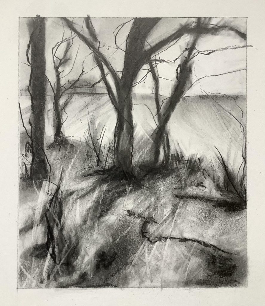 Amanda J Bond at work