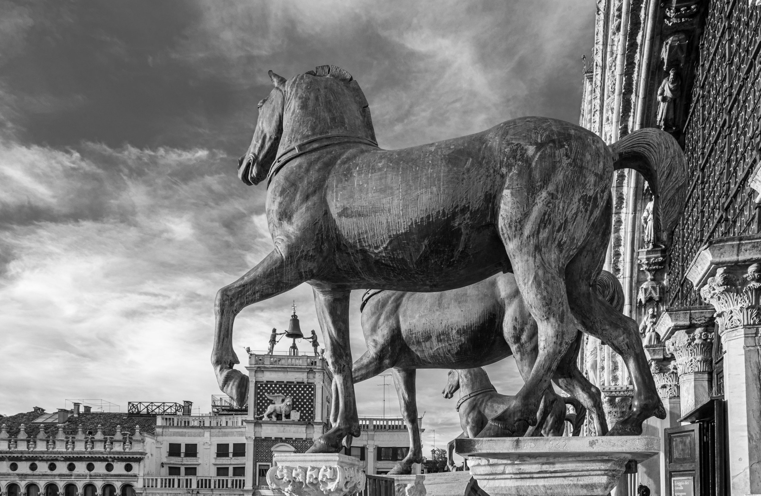 Dee Robinson: St Marks' Horses