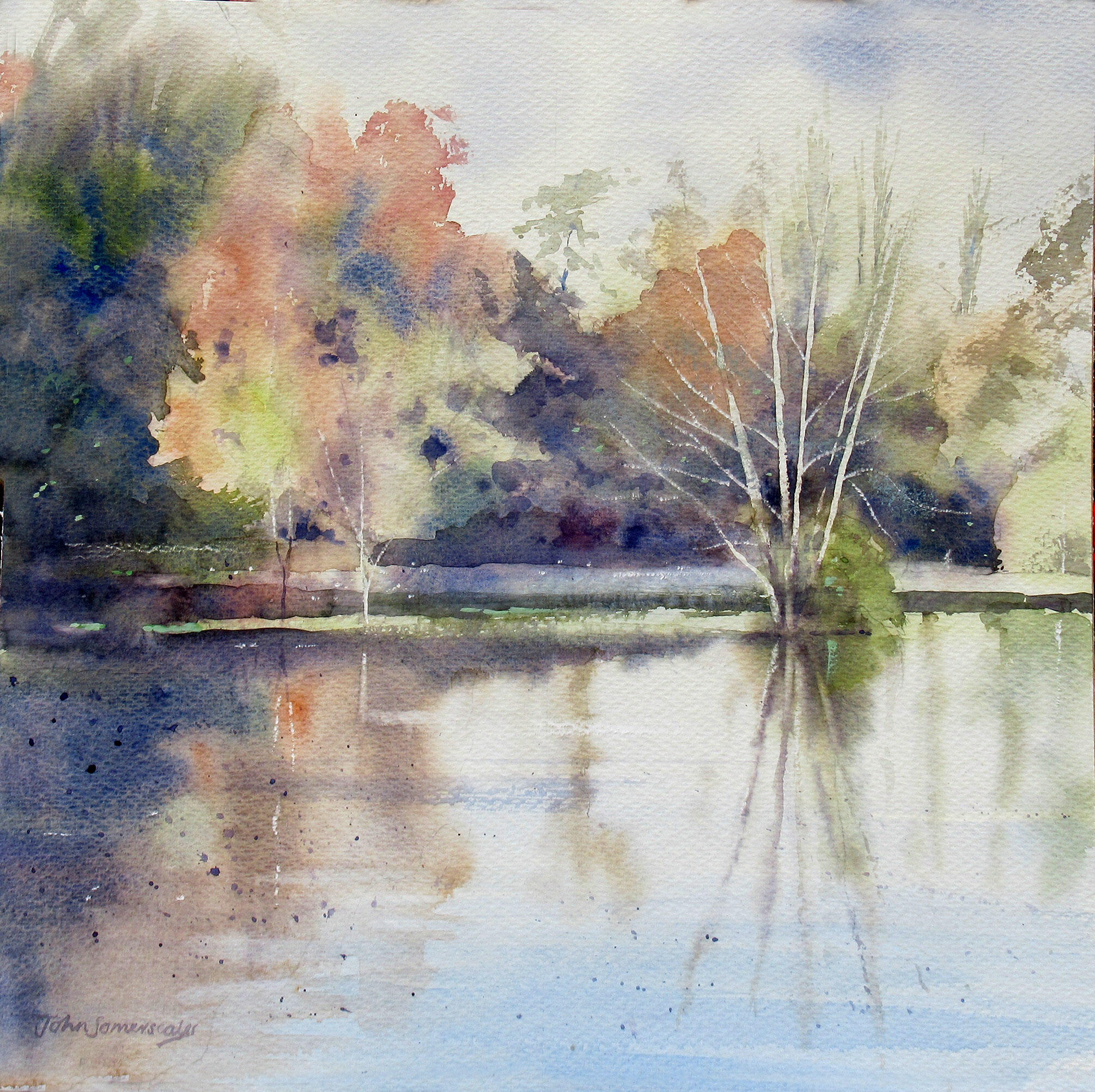 John Somerscales OAS: 