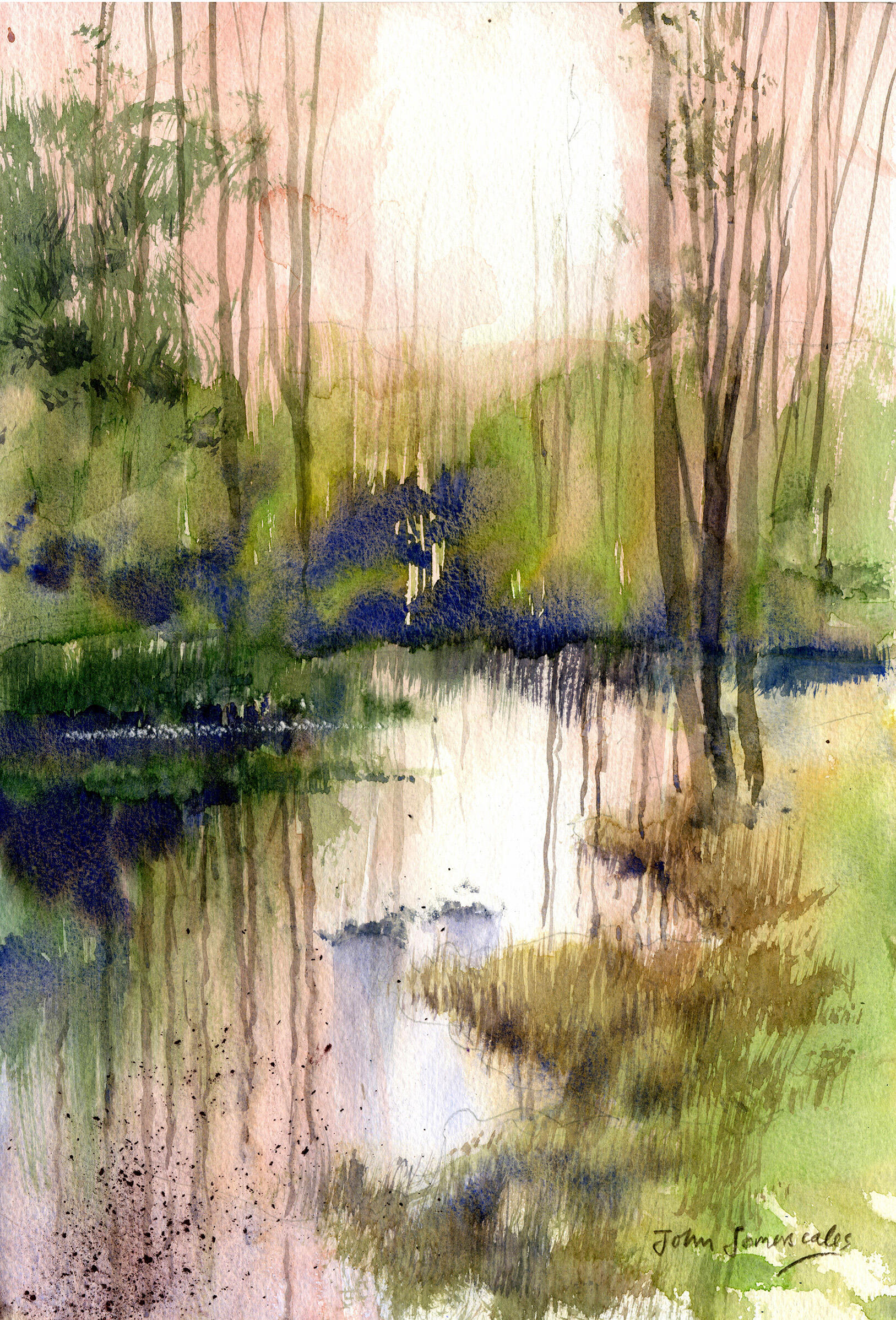 John Somerscales OAS: 