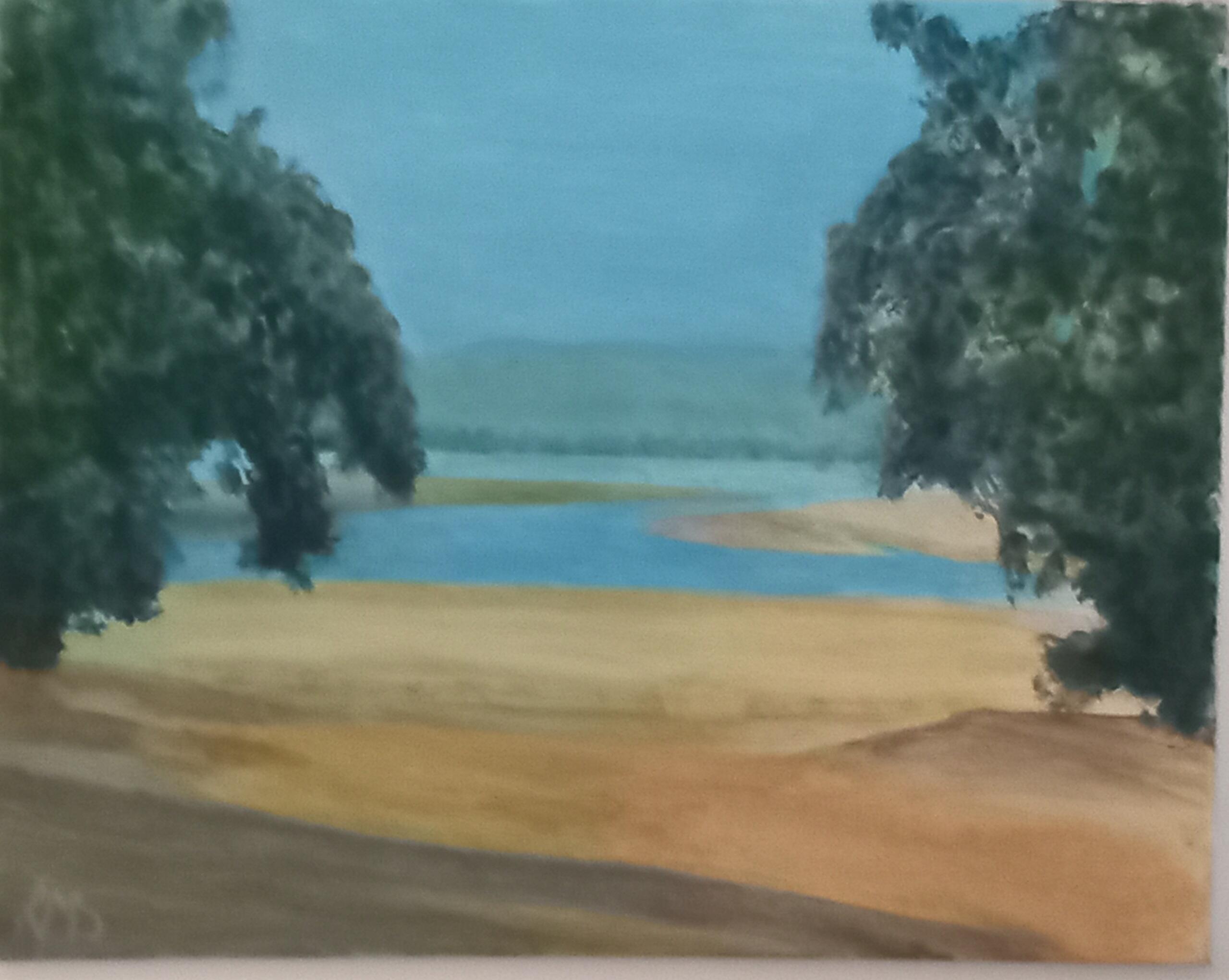 Rob Shorts: Zambezi 16x20 Acrylic £200