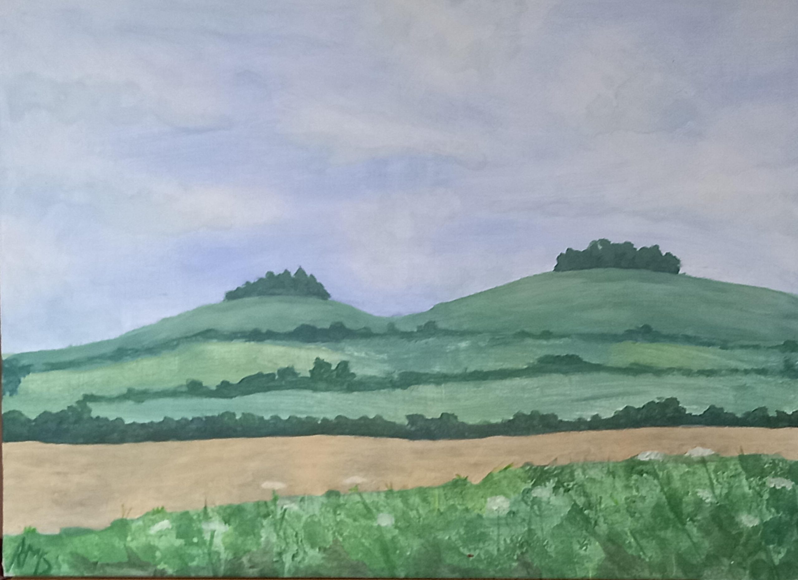 Rob Shorts: The Clumps 18x24 Acrylic £250