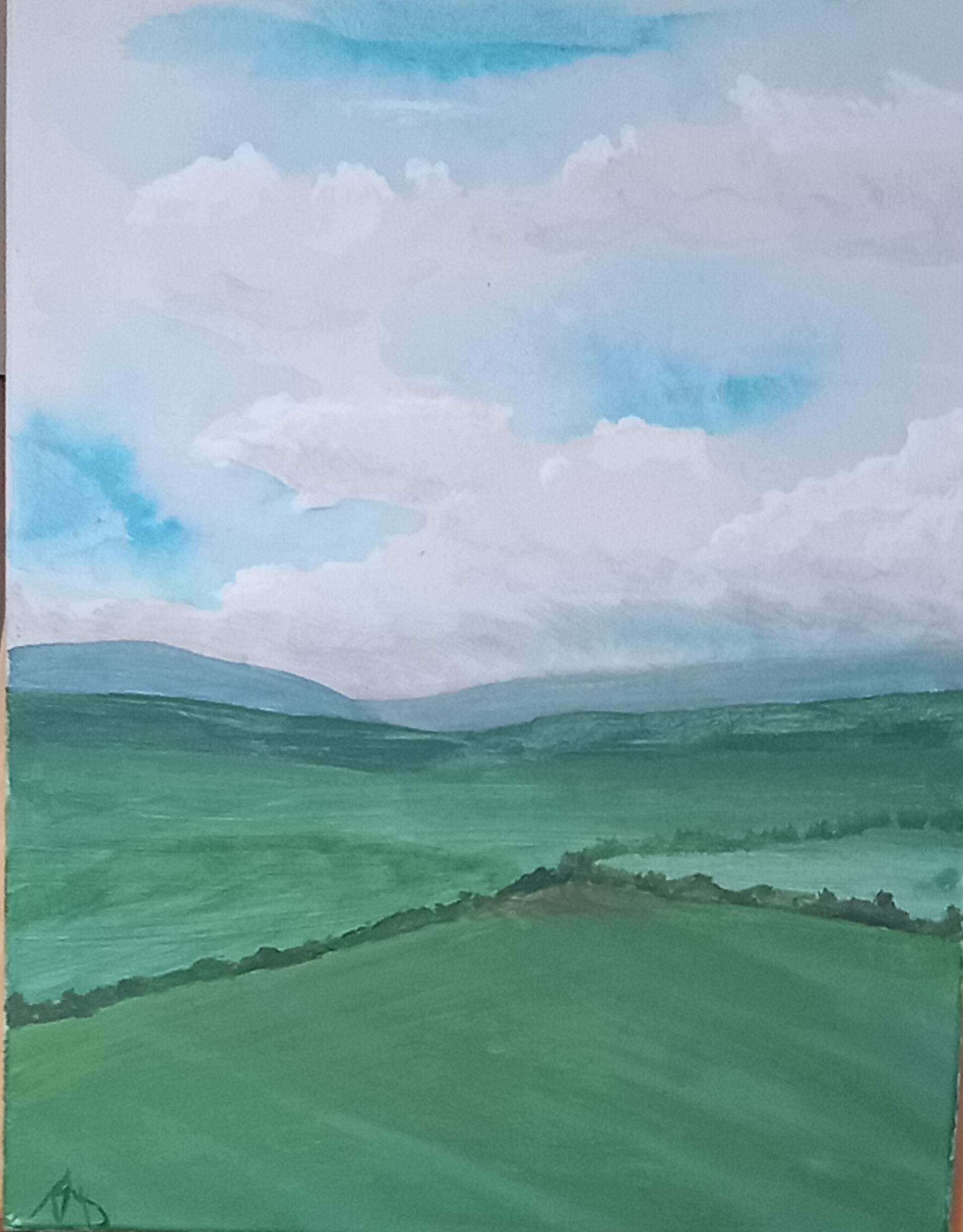 Rob Shorts: Boarder Land 14x16 Acrylic £100