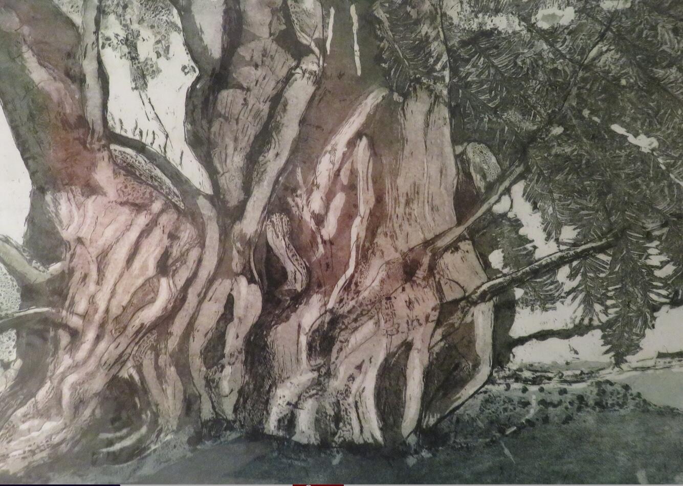Sally Levell OAS, OPC: Iffley Yew tree- etching