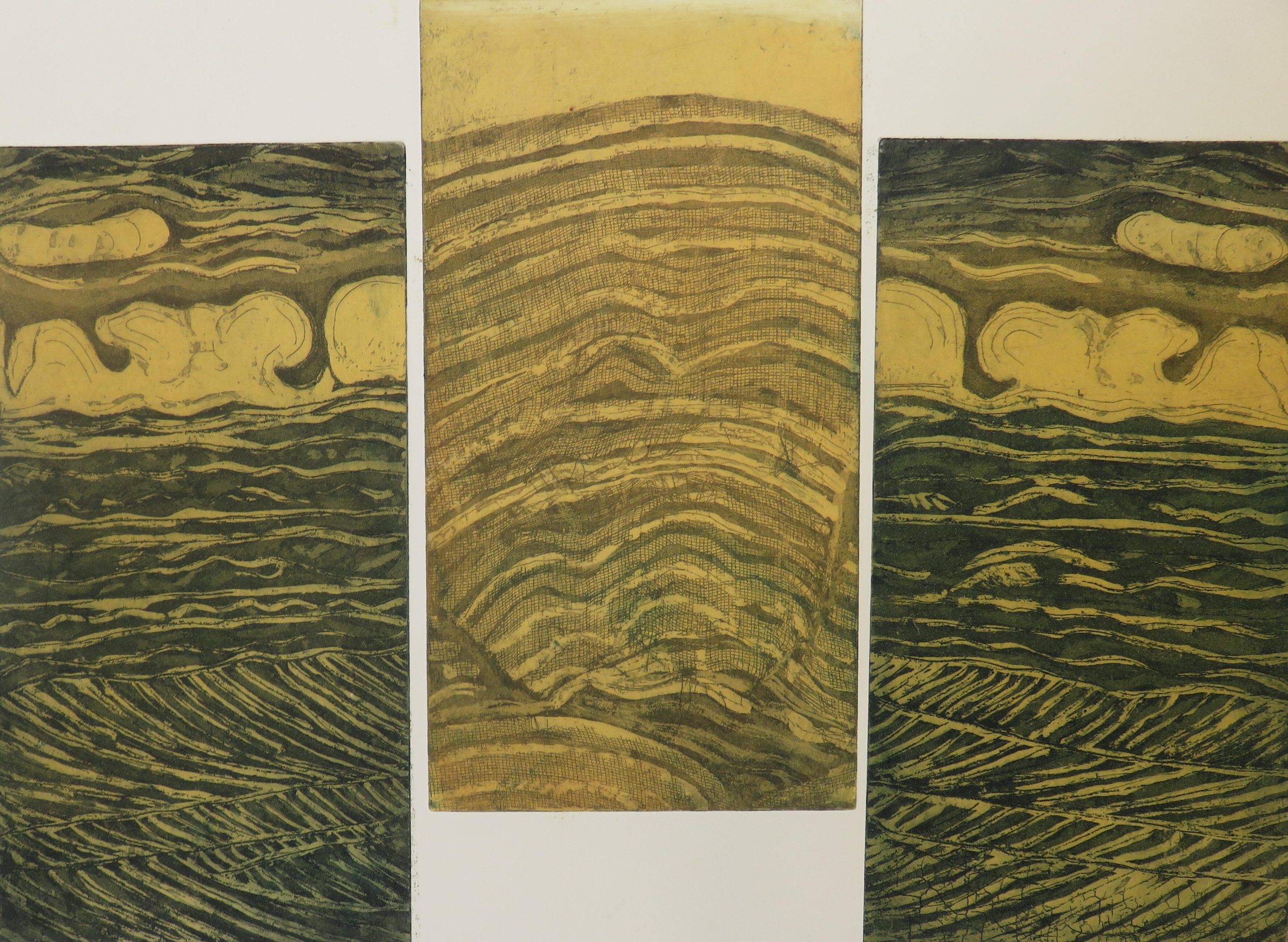 Sally Levell OAS, OPC: Scottish Stromatolites- Etching