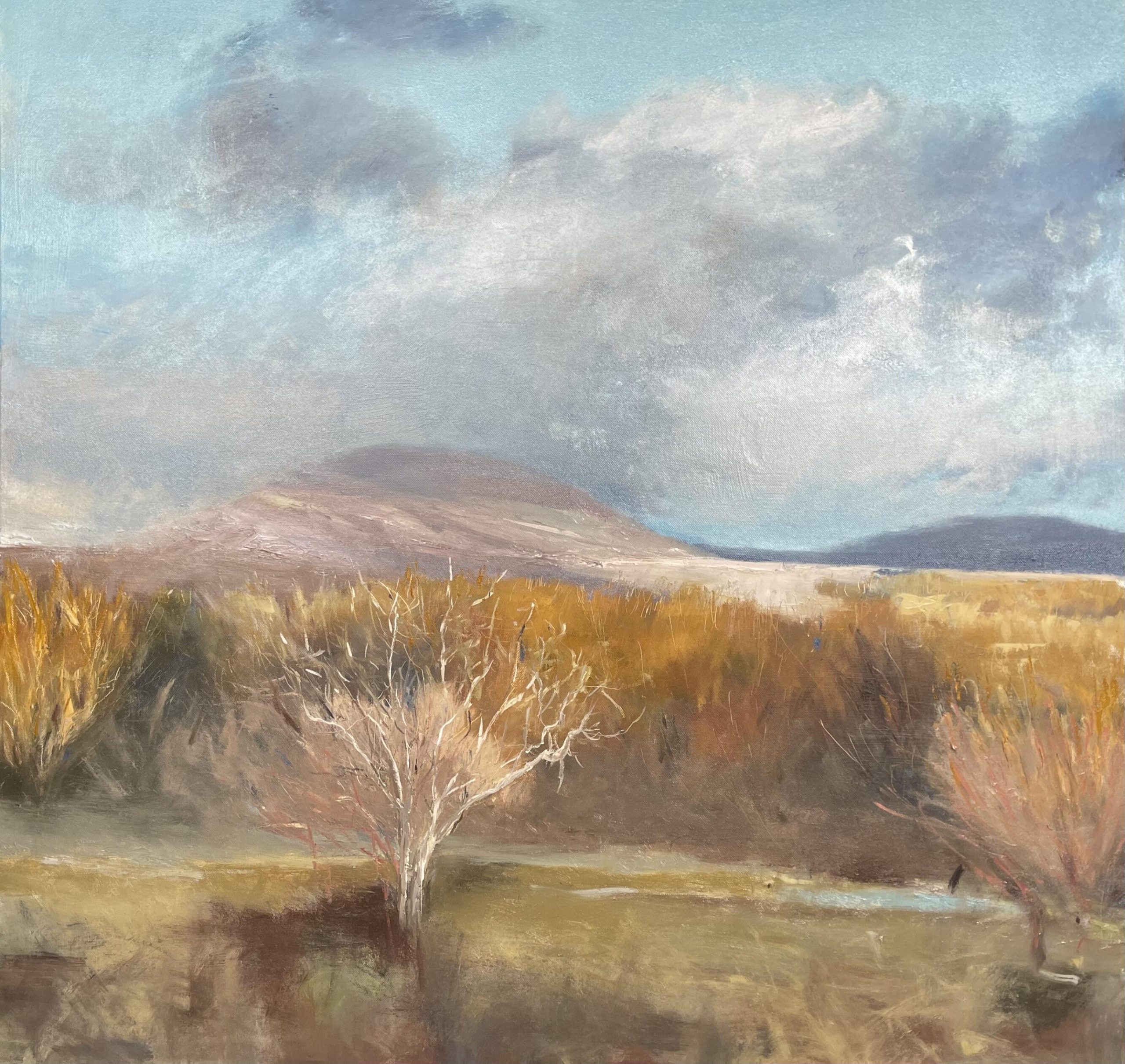 Jane Duff OAS, WOA: Low evening light over the Rhinogau mountains