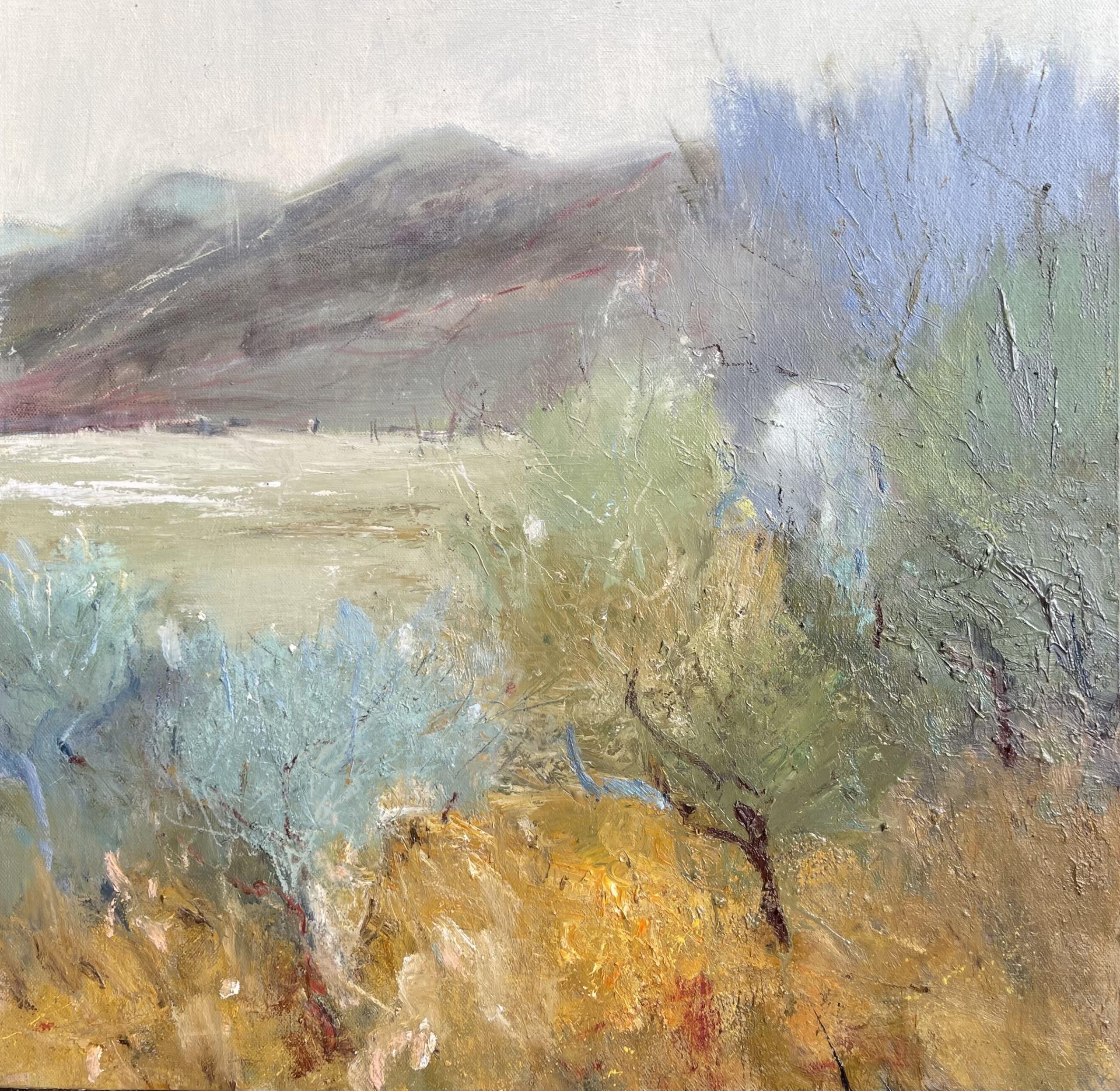 Jane Duff OAS, WOA: Diversity on a welsh hillside