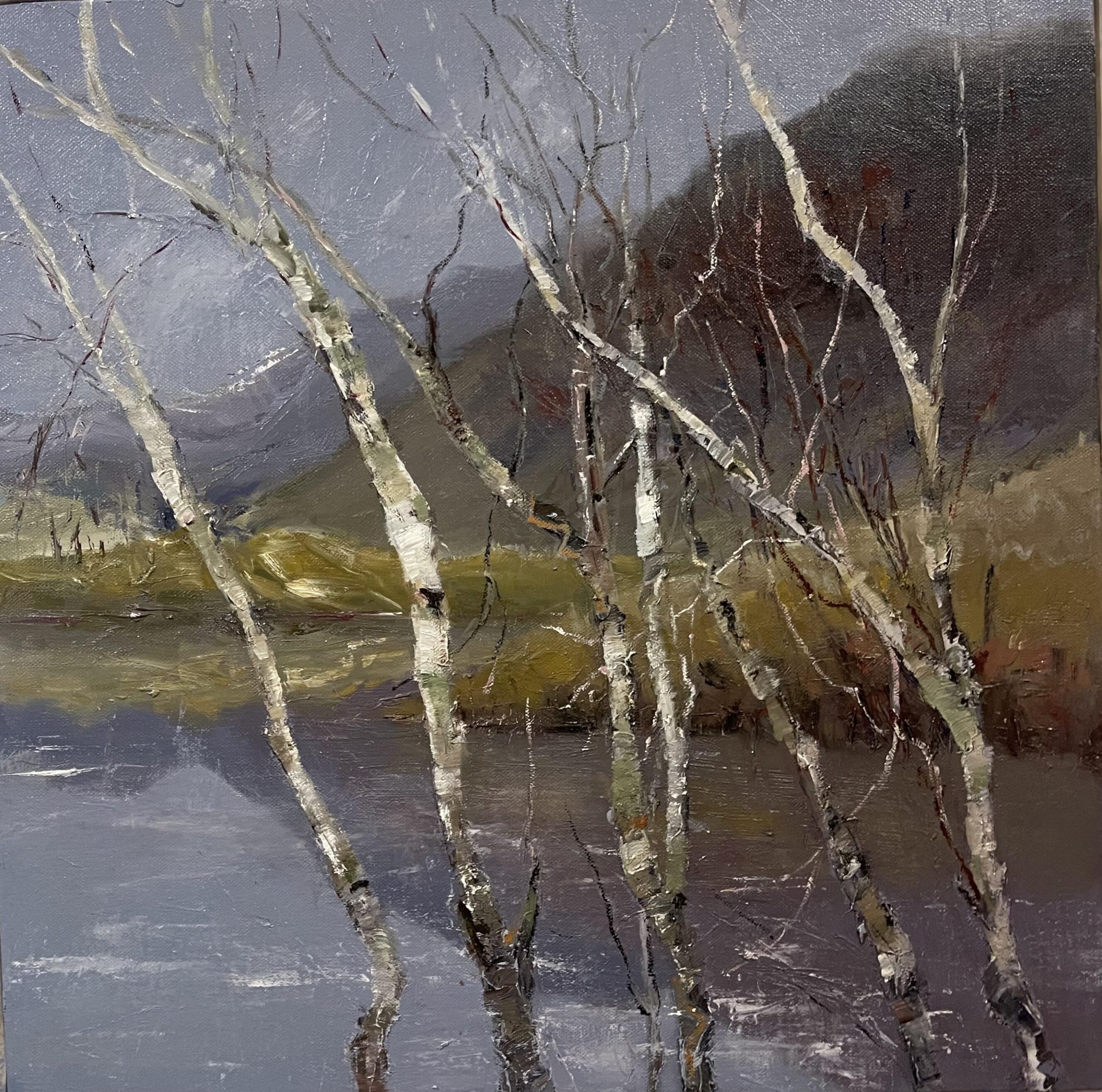 Jane Duff OAS, WOA: Silver birch at Cregennan lakes