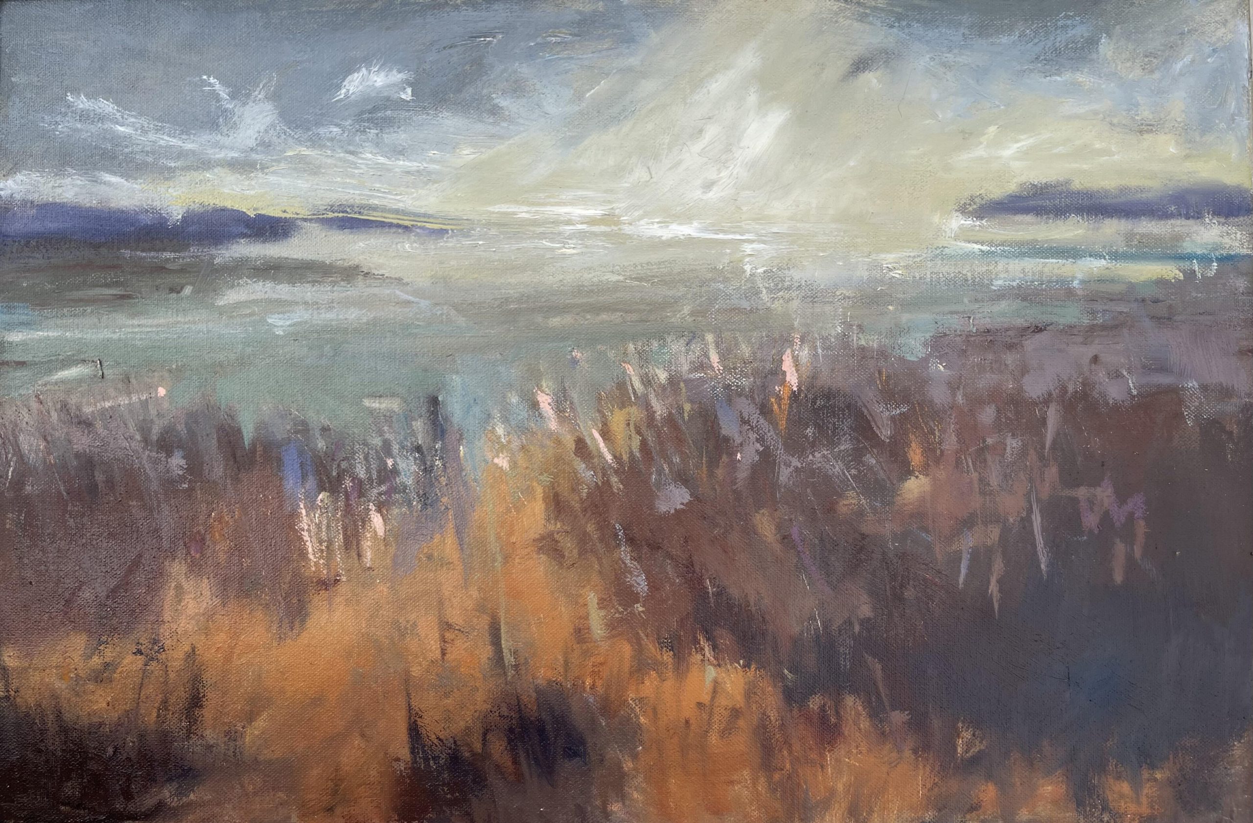 Jane Duff OAS, WOA: Evening above the Mawddach estuary