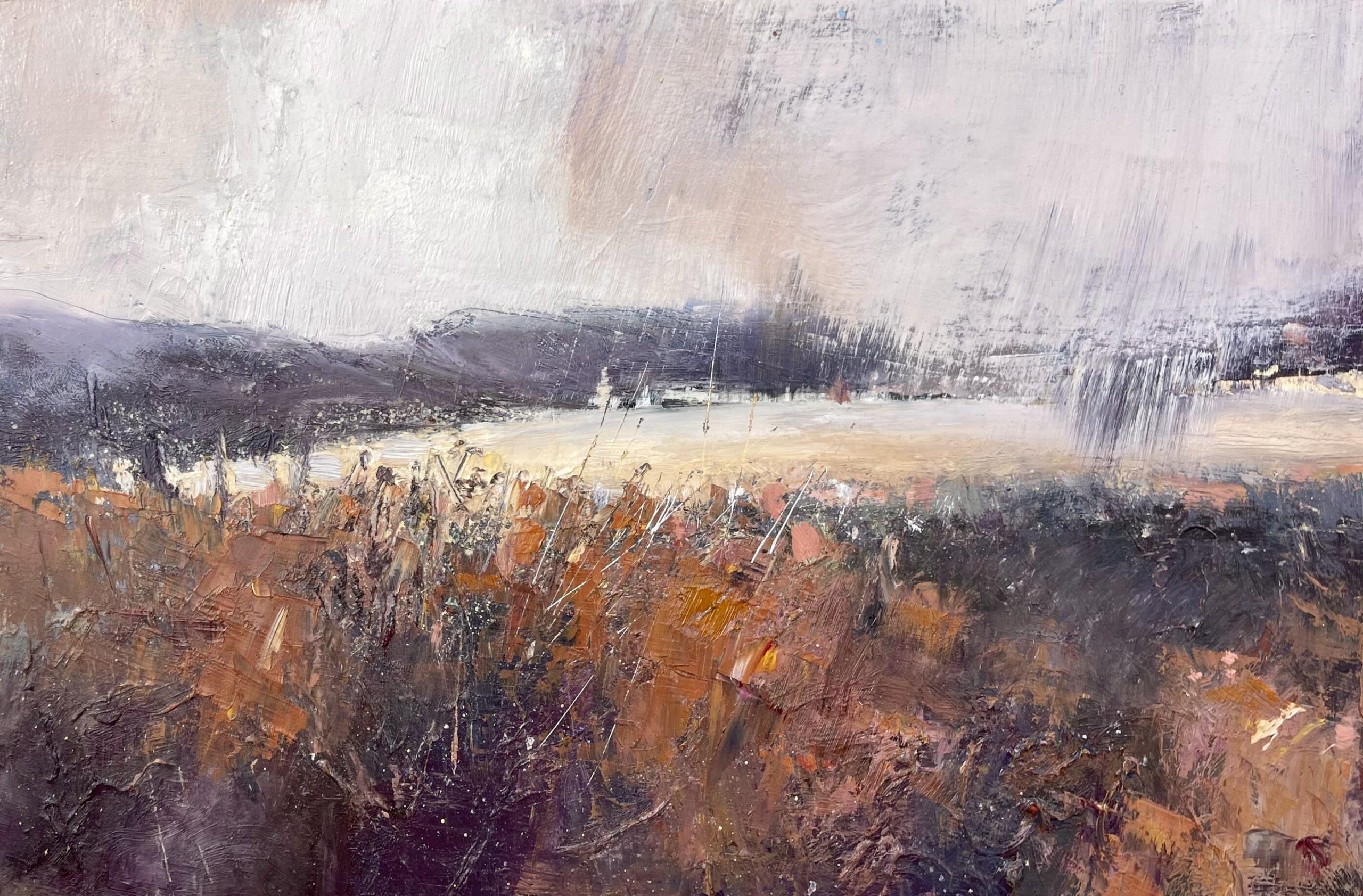 Jane Duff OAS, WOA: Hen harrier country