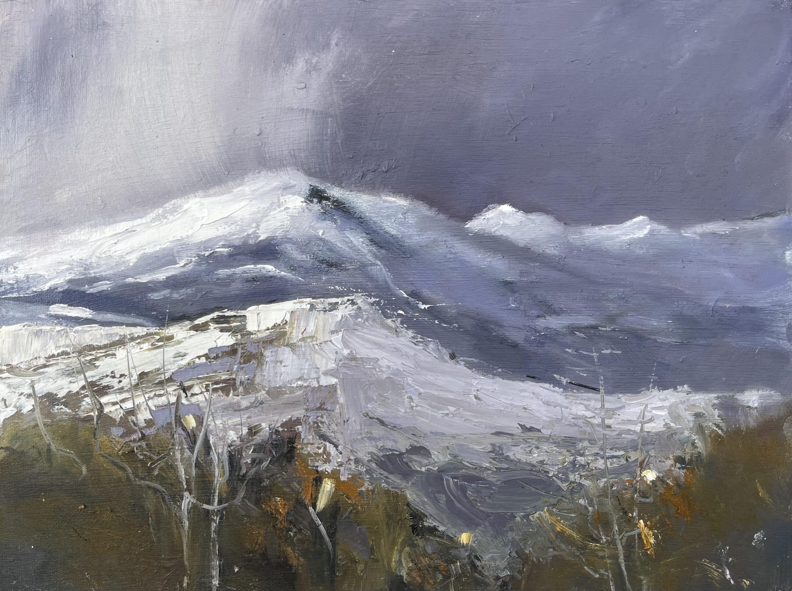Jane Duff OAS, WOA: Snowdonia  in Winter