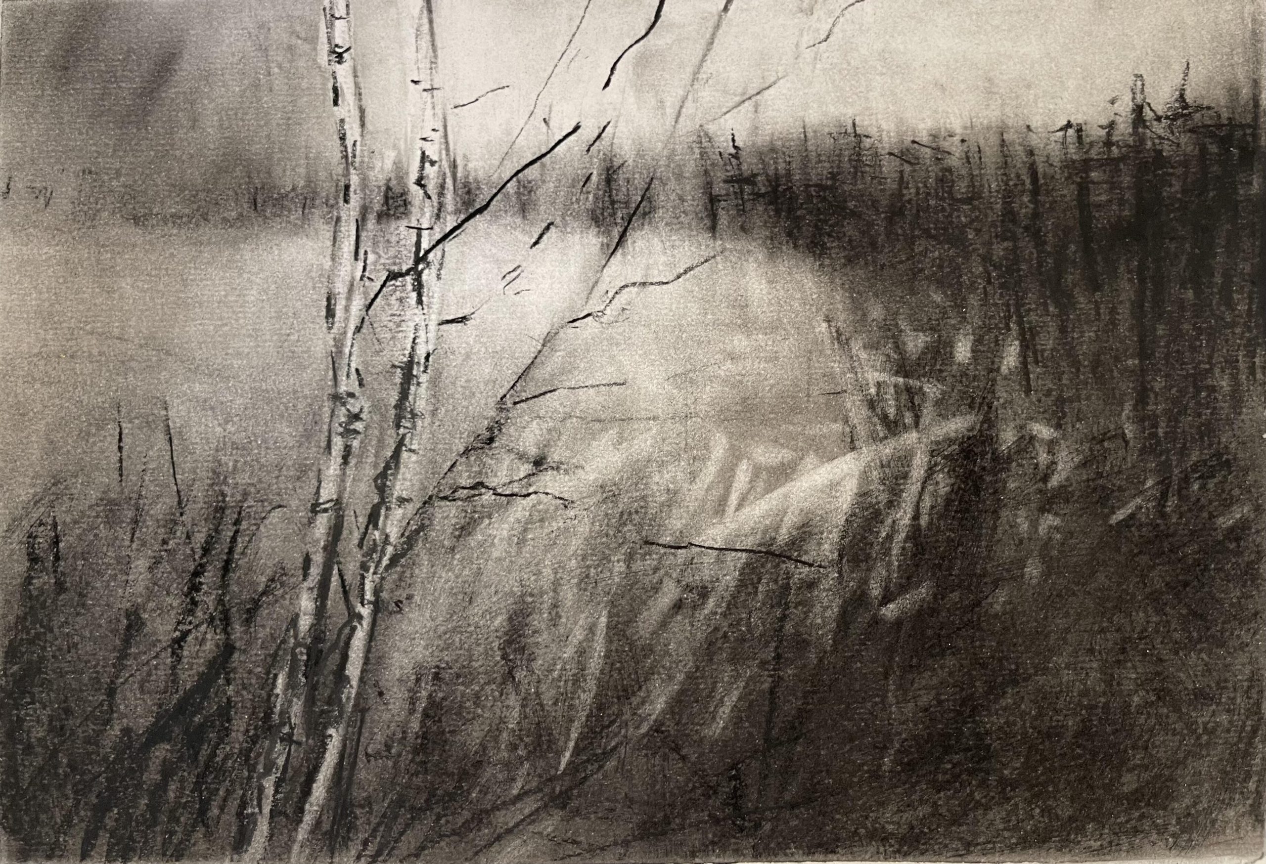 Jane Duff OAS, WOA: Into the clearing