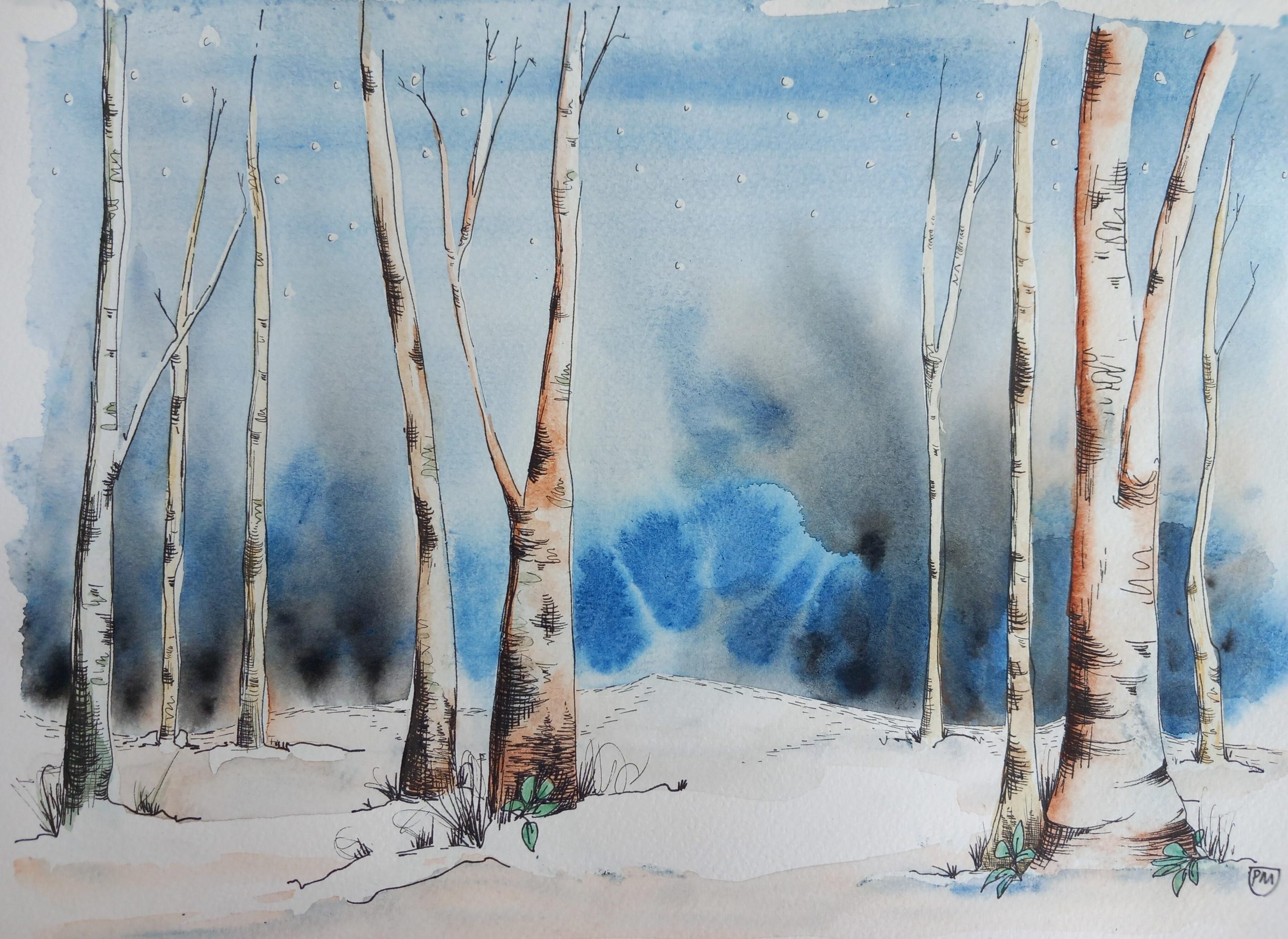 Philippa Muir SOA: Birch Woods