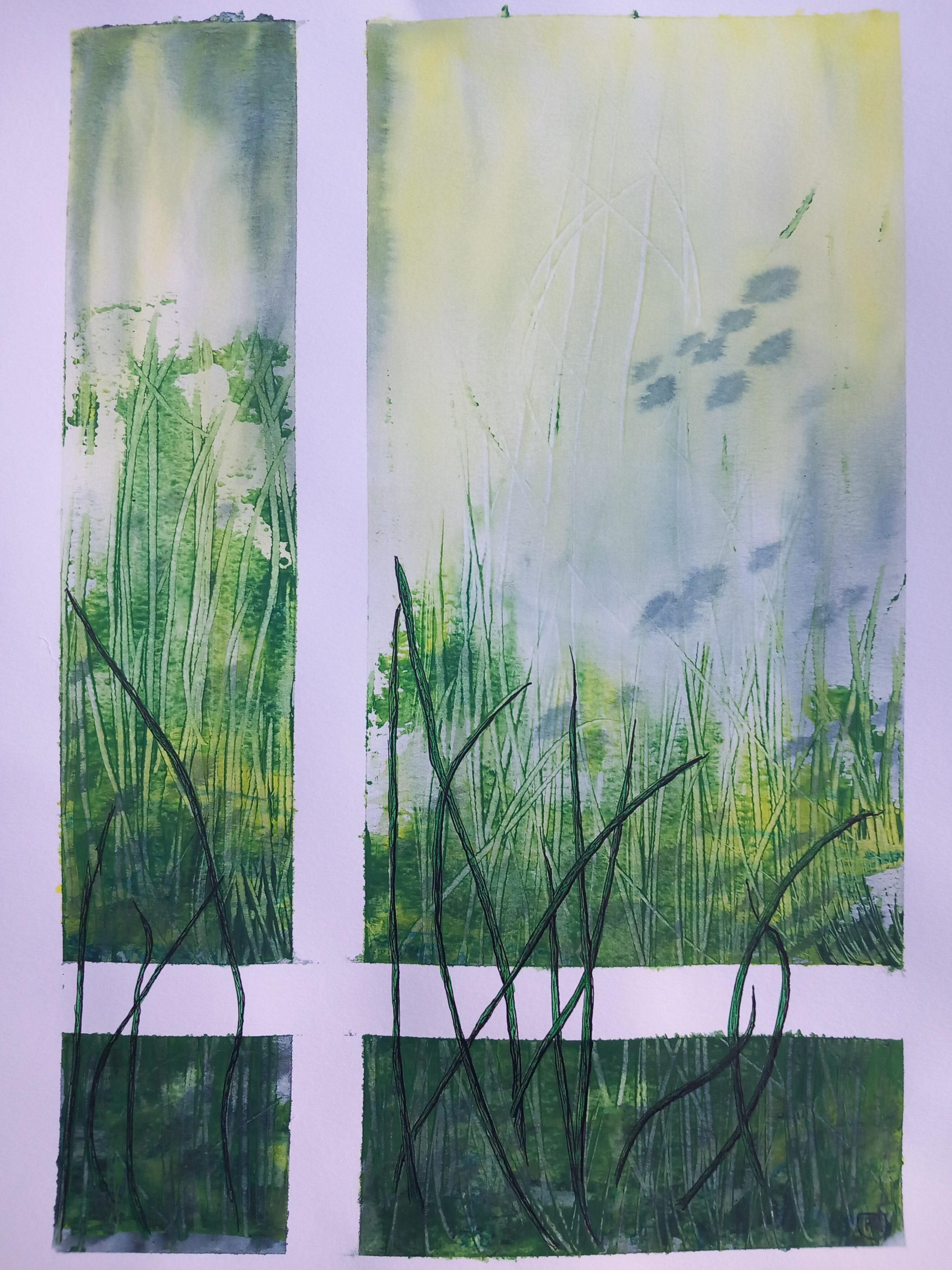 Philippa Muir SOA: Grassy Fields