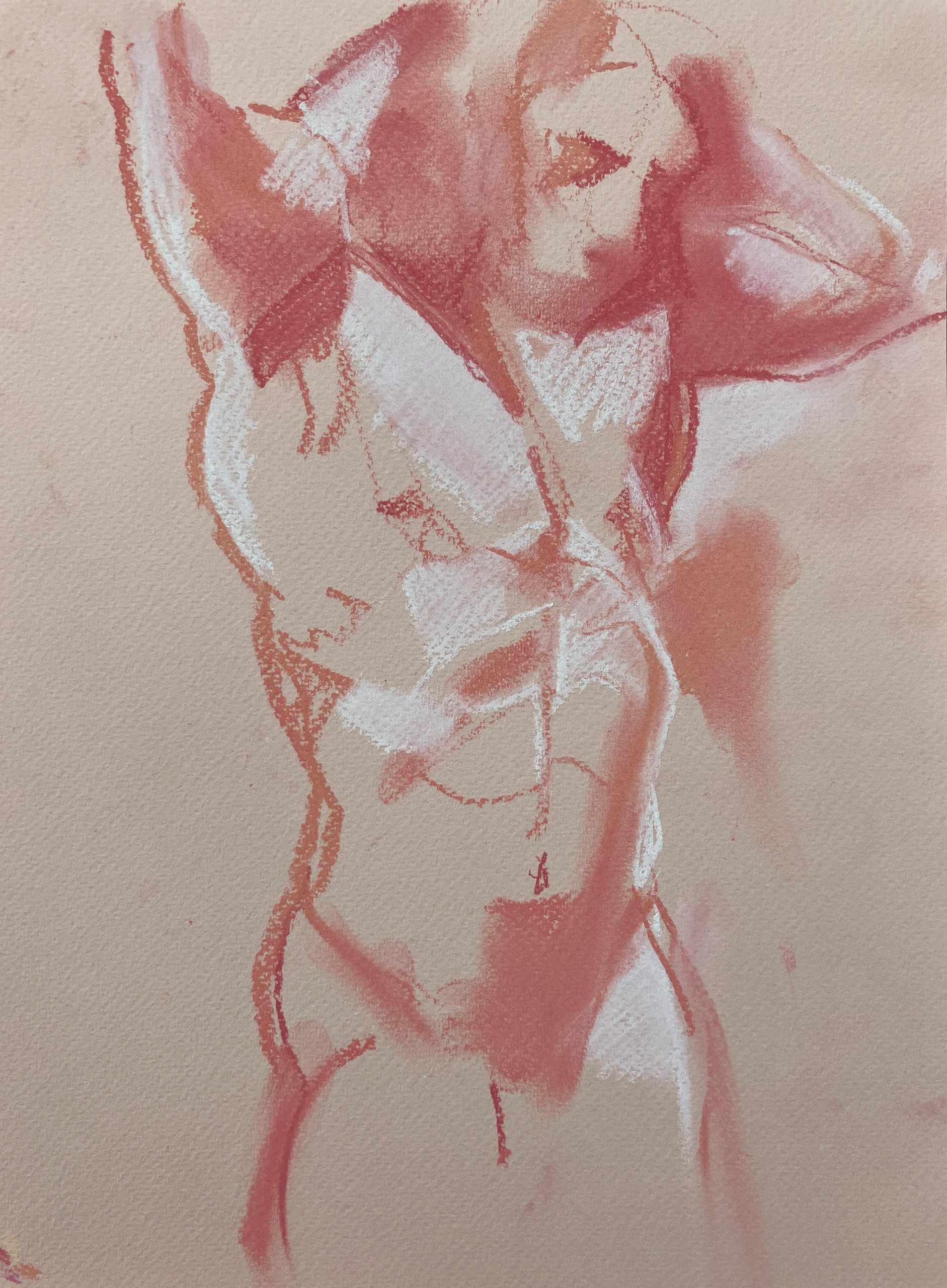 Deborah Williams OAS: Pink Study (pastel)