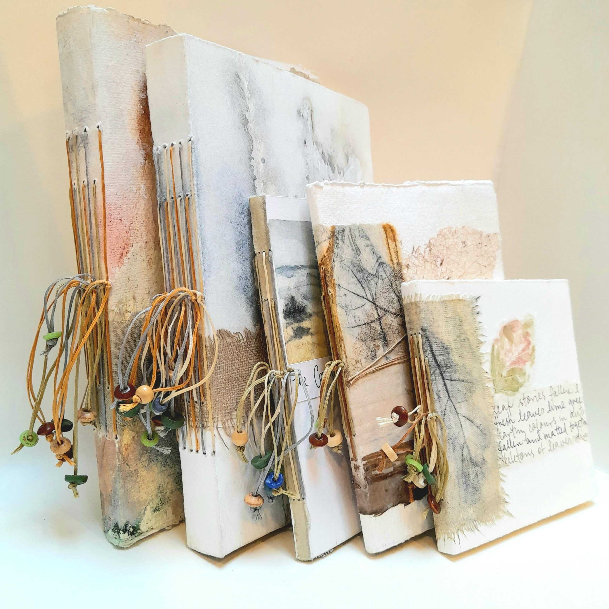 Carol Harvey: 'Books to Browse', mixed media nature-inspired artist's books on various themes aimed at education and awareness, for viewing only, nfs