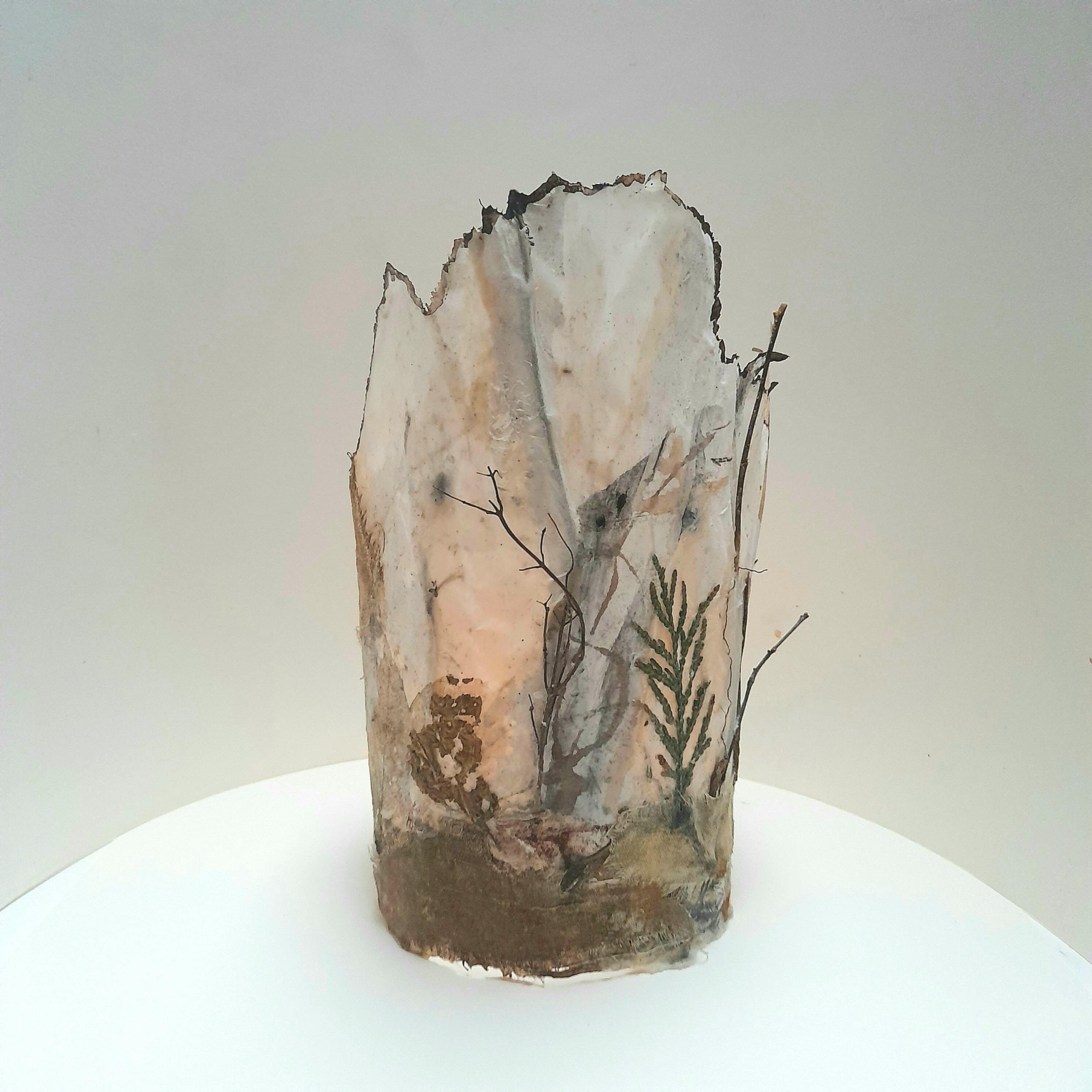 Carol Harvey: 'The Feeling of a Forest', paper sculpture - (daylight version of primary image), mulberry paper, muslin, walnut ink, charcoal, natural paints, encaustic wax, nature finds, 22cm x 15cm, £75