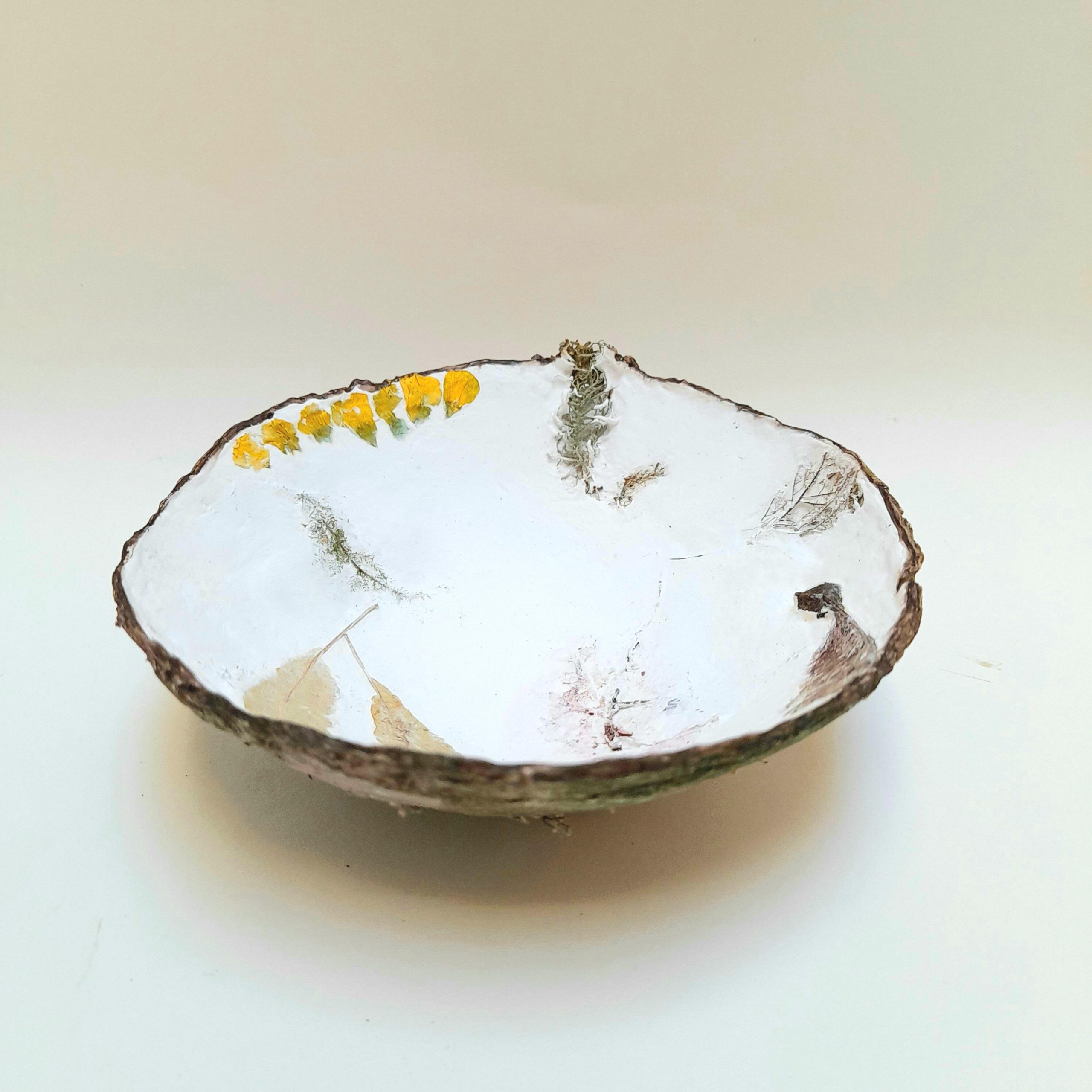 Carol Harvey: 'The Buttercups Will Still Bloom', plaster bowl - Mod Roc, plaster, natural inks and paints, oil pastels, nature finds, 12cm x 4cm, £45