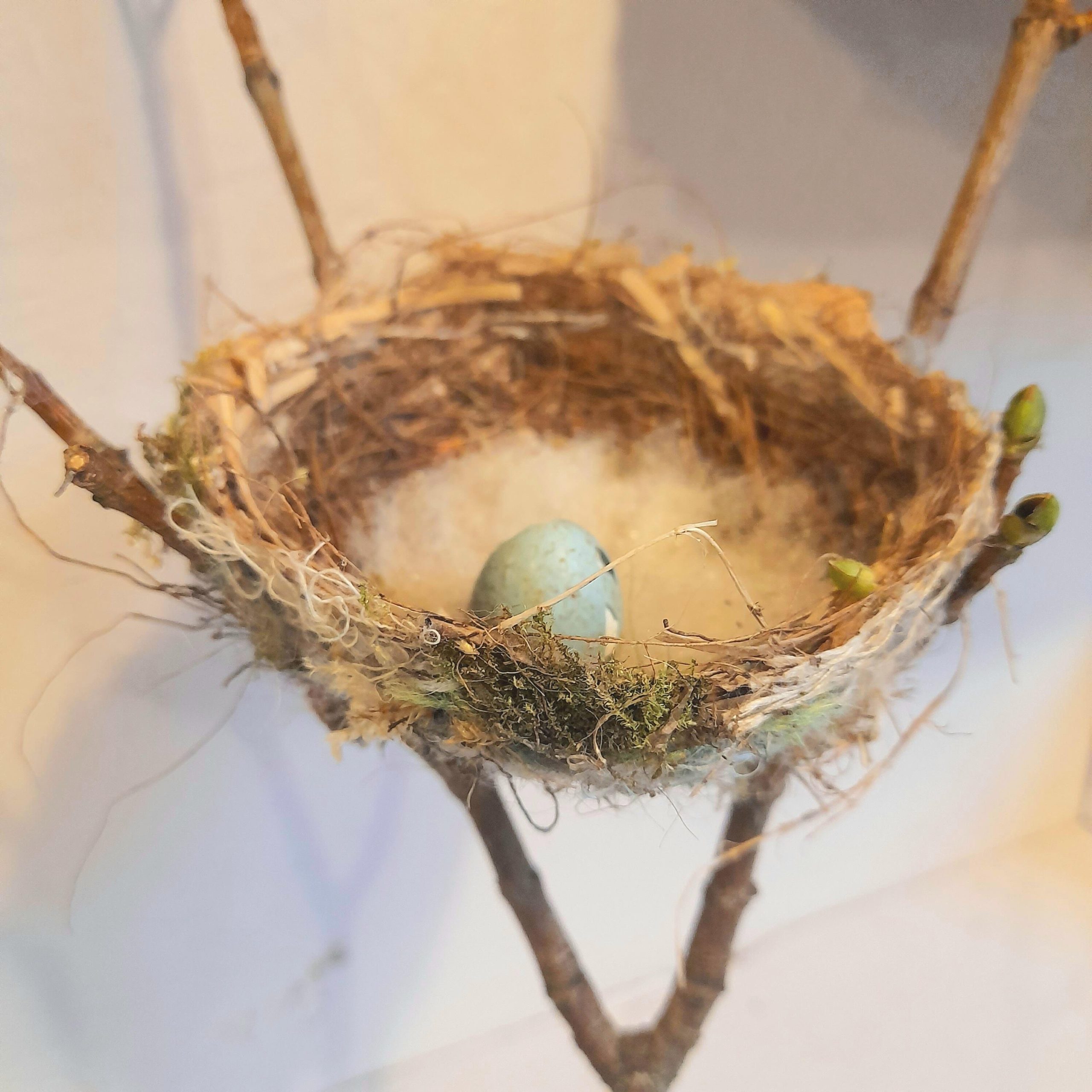 Carol Harvey: 'Weave Like a Bird', paper mache and wool weave with nature finds on a branch, 5cm x 5cm x 12cm, £45