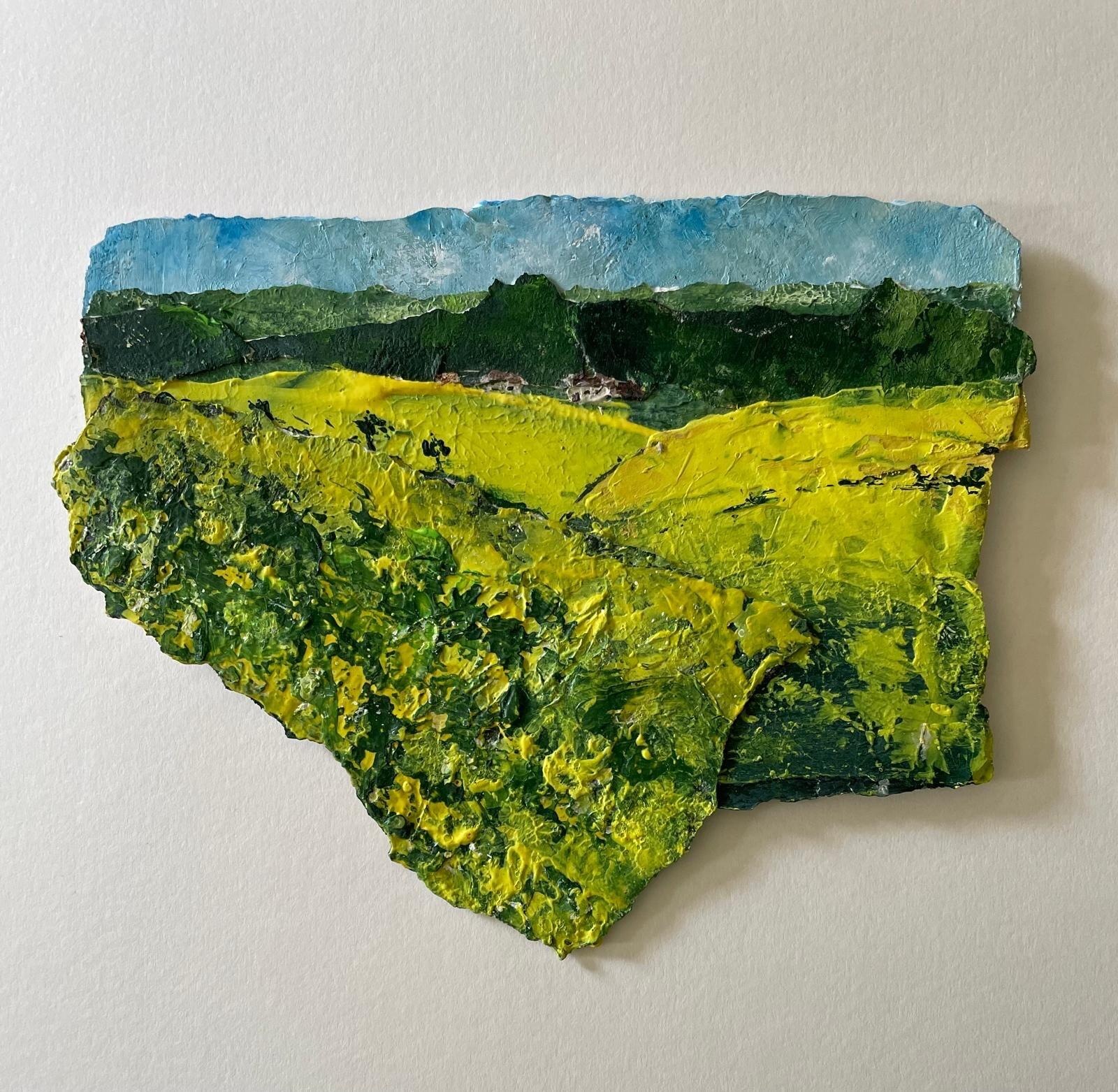 Claire Fyfe-Jackson: May fields