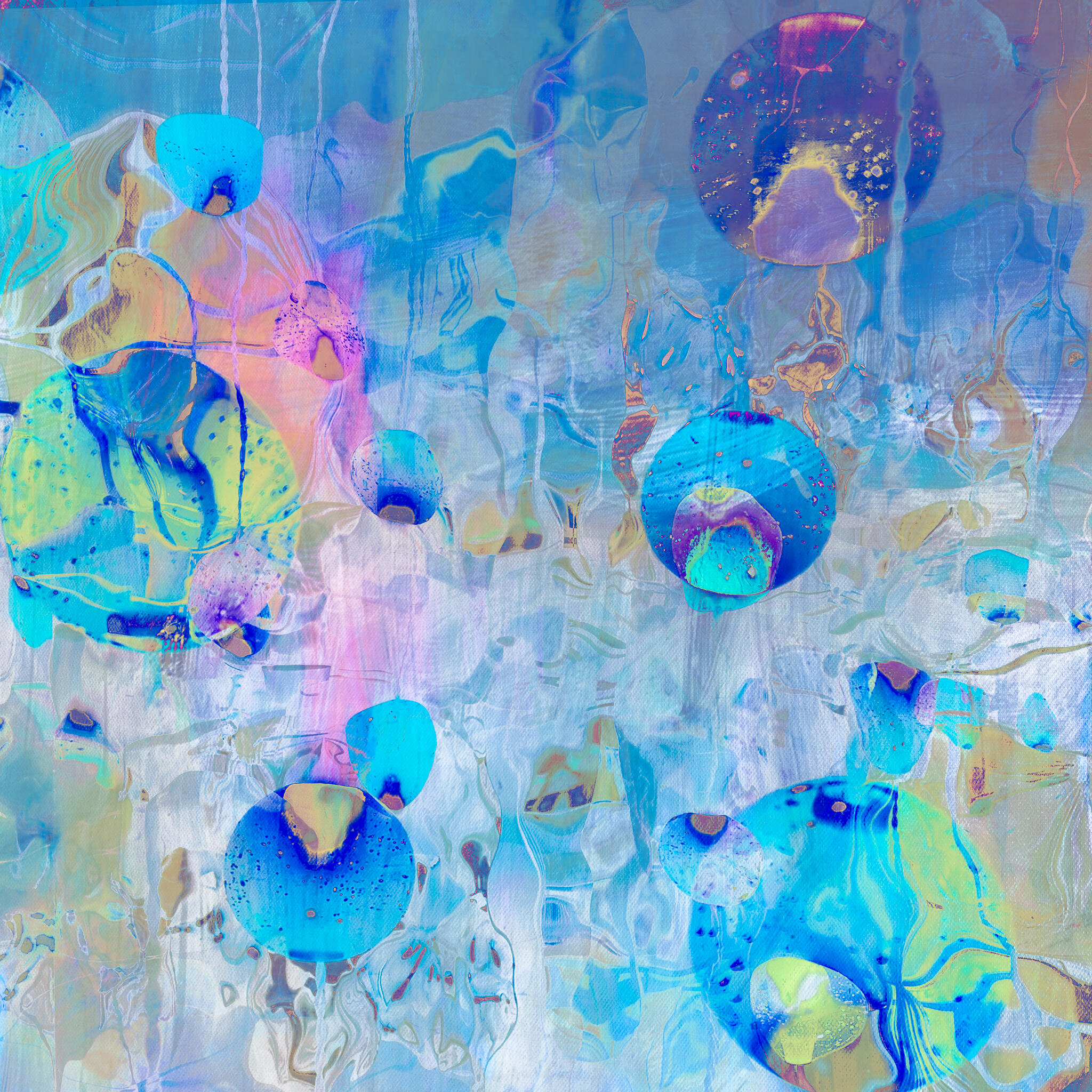 Jane Stillwell: Celestial spheres