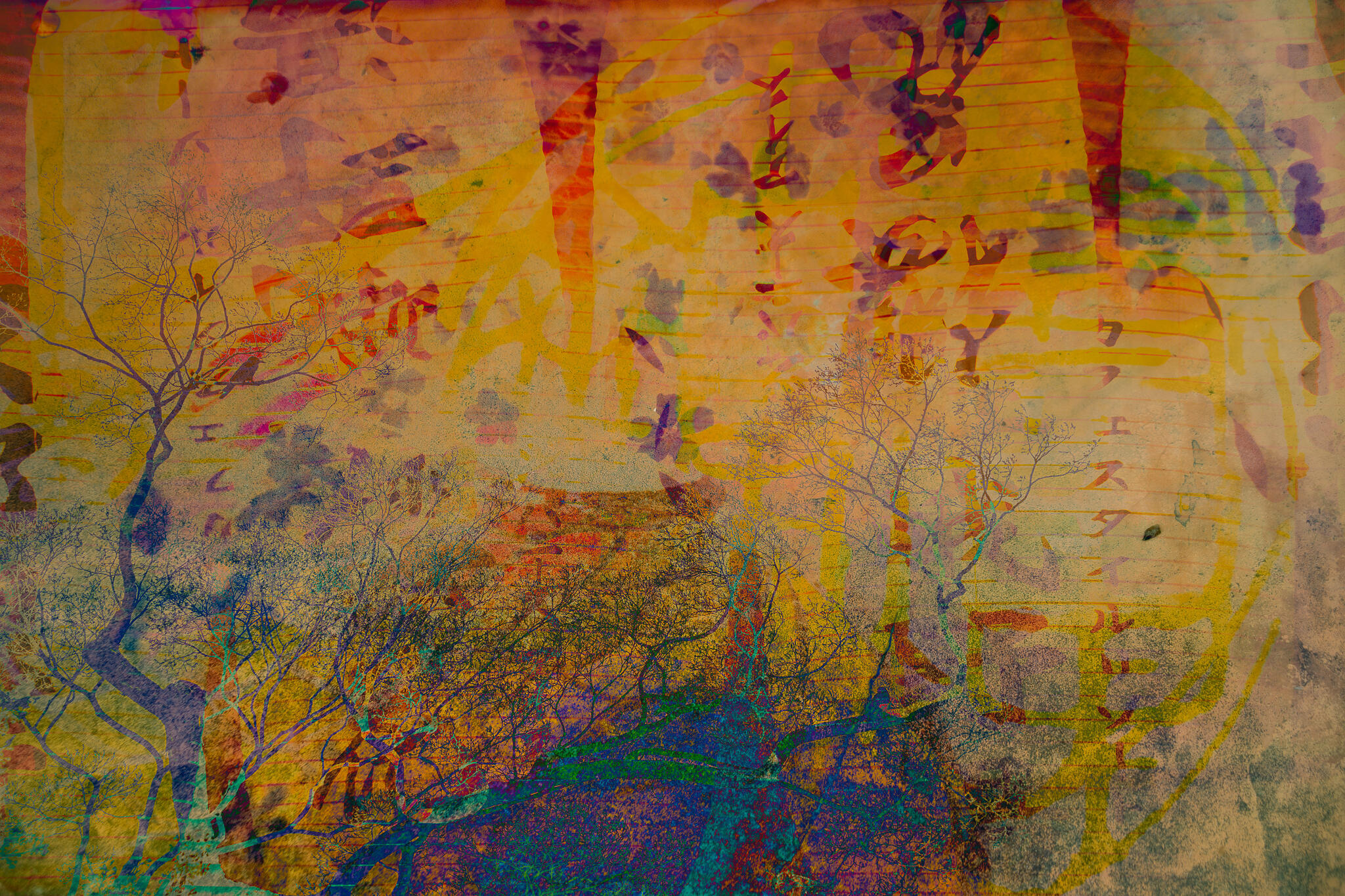 Jane Stillwell: Kyoto Dreams