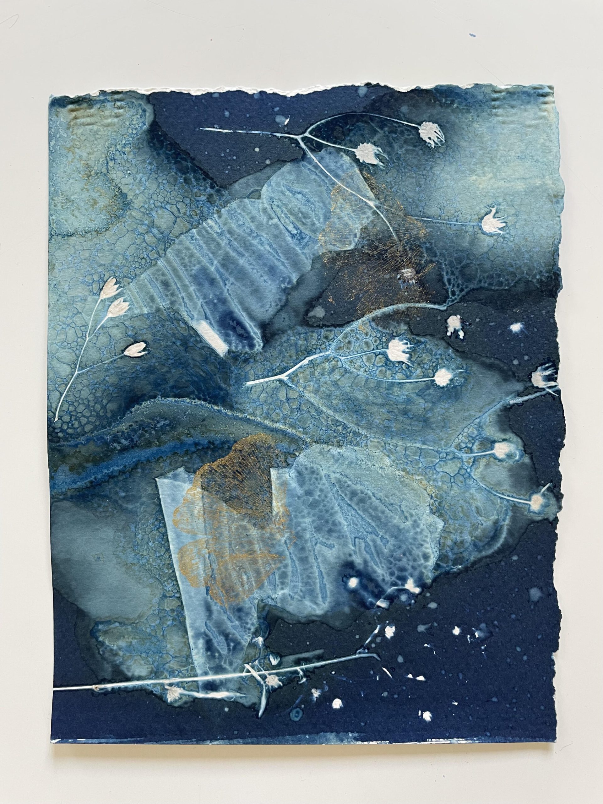 Jude Sanders SOA: Shapeshifting, mixed media, gold ink and layered cyanotype