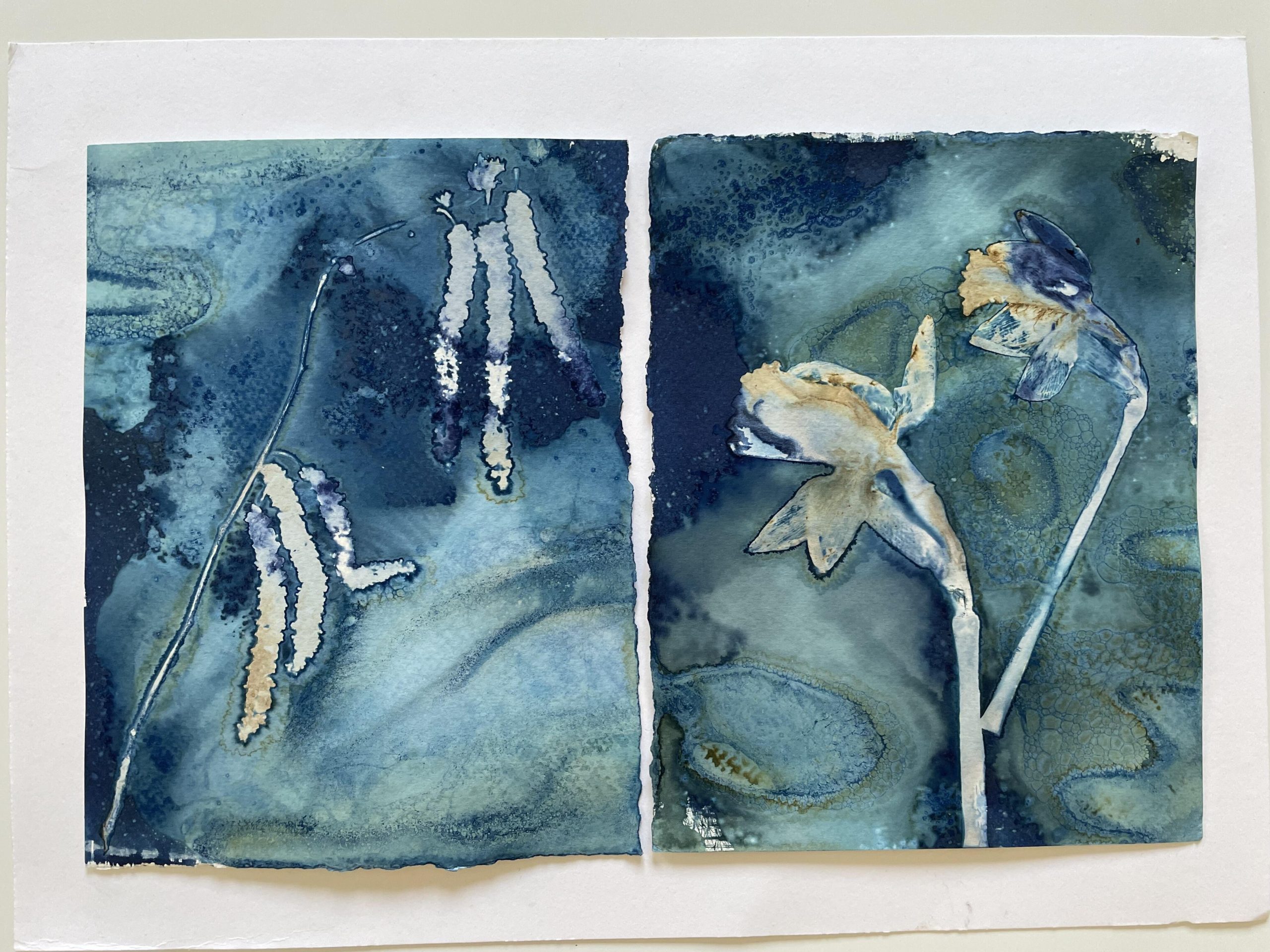 Jude Sanders SOA: Springtime, multilayered wet cyanotype