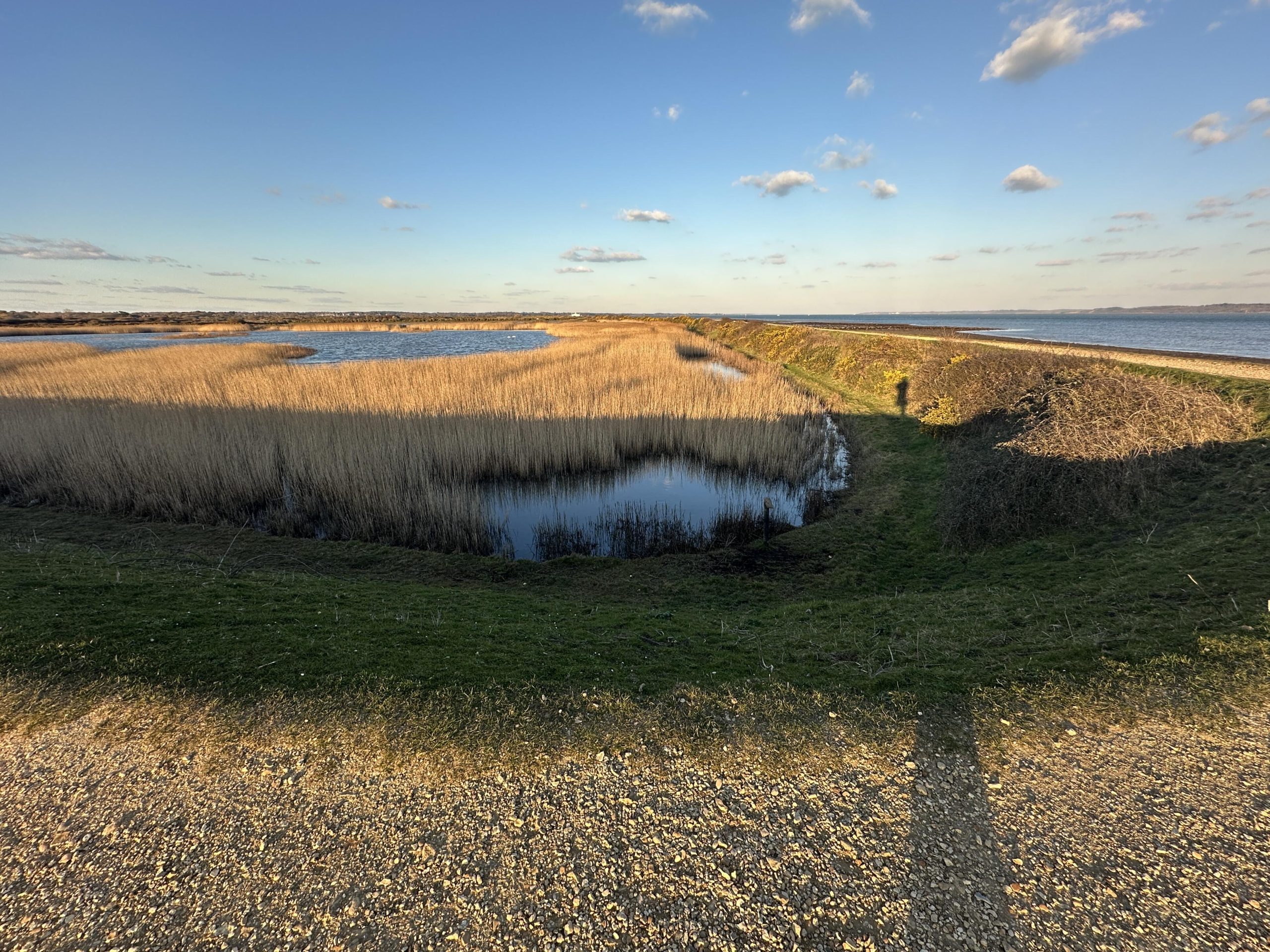 Julia Simmons at work