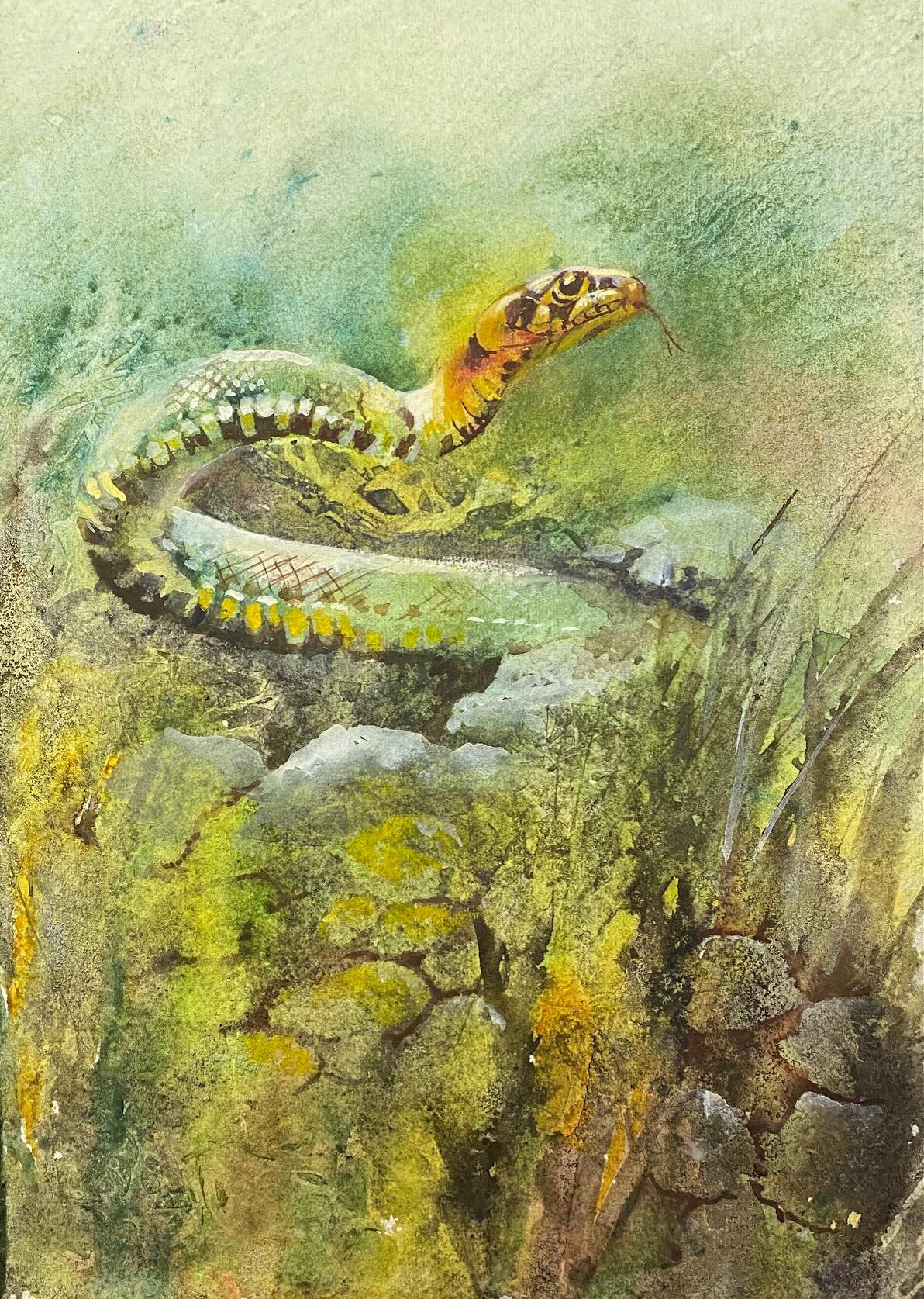 Maureen Sparling: Grass Snake
