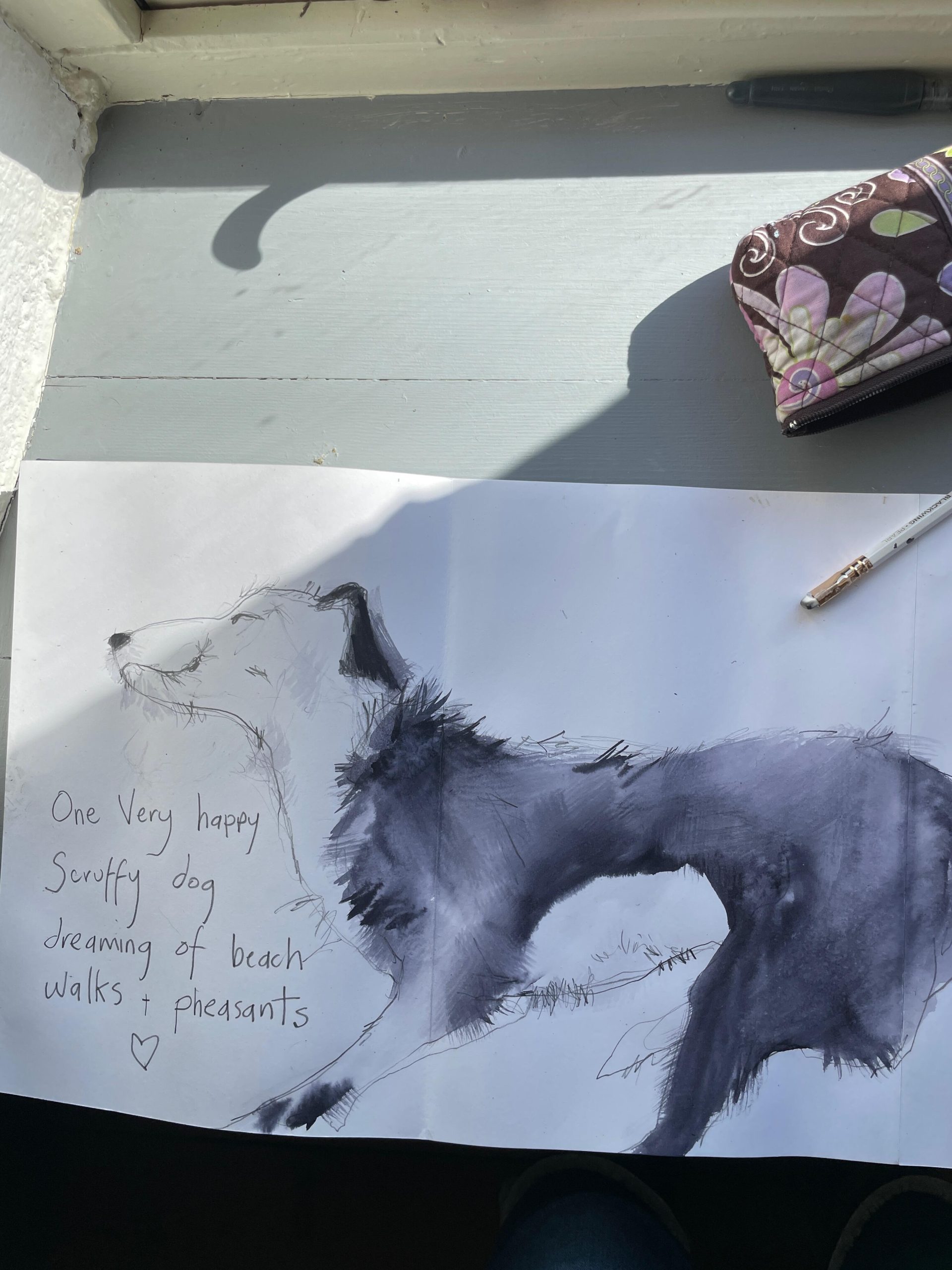 Nicola Durrant OAS: My little dog drawn in ink whilst he was napping
