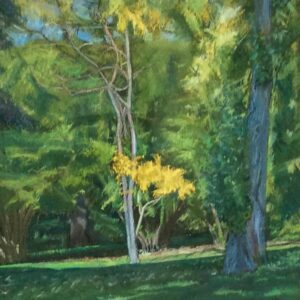 Neville Crowson WOA: Green landscape pastel 68x89cm framed £450